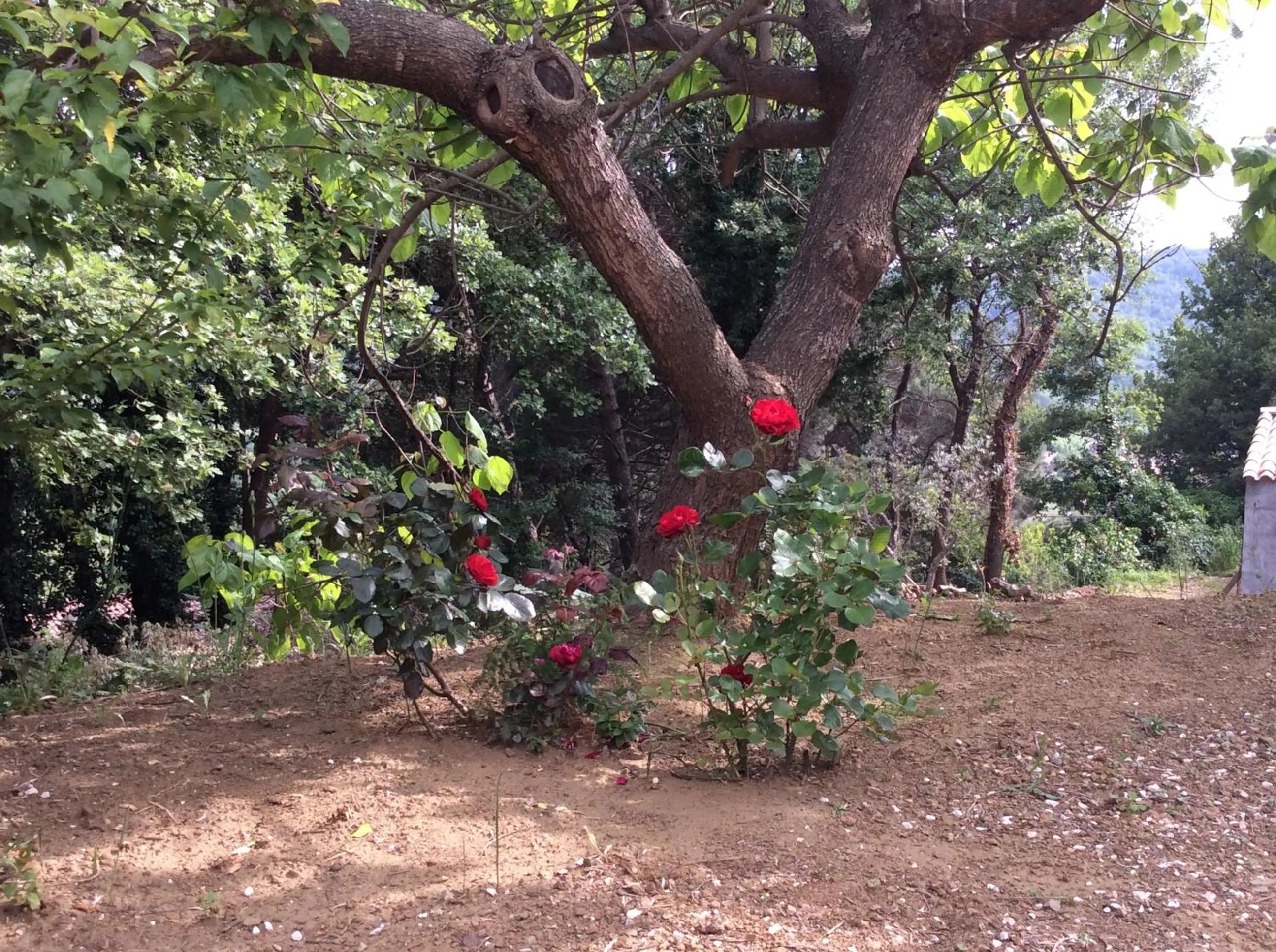 La Petite Bergerie, Les Hautes Roches