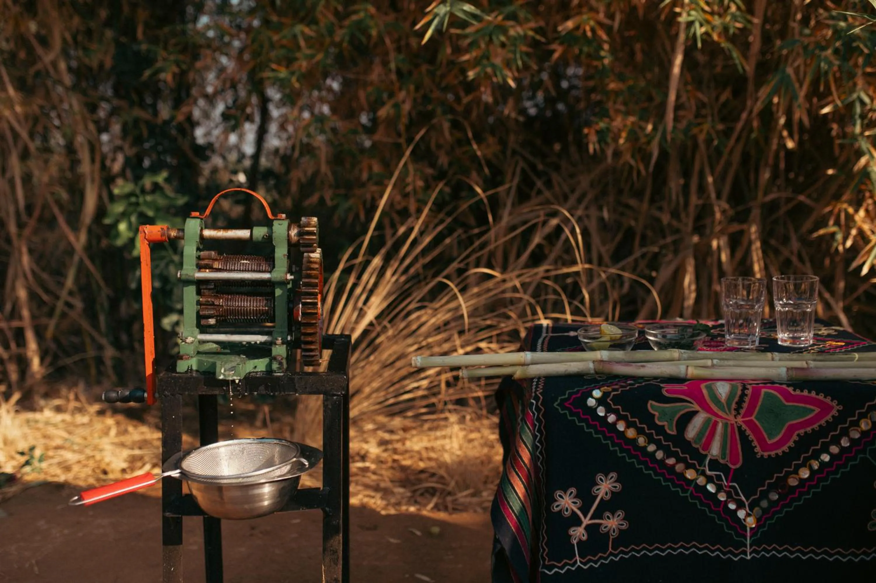 Day in Brij Pola, Jawai - Luxury Jungle Camp with Private Pools