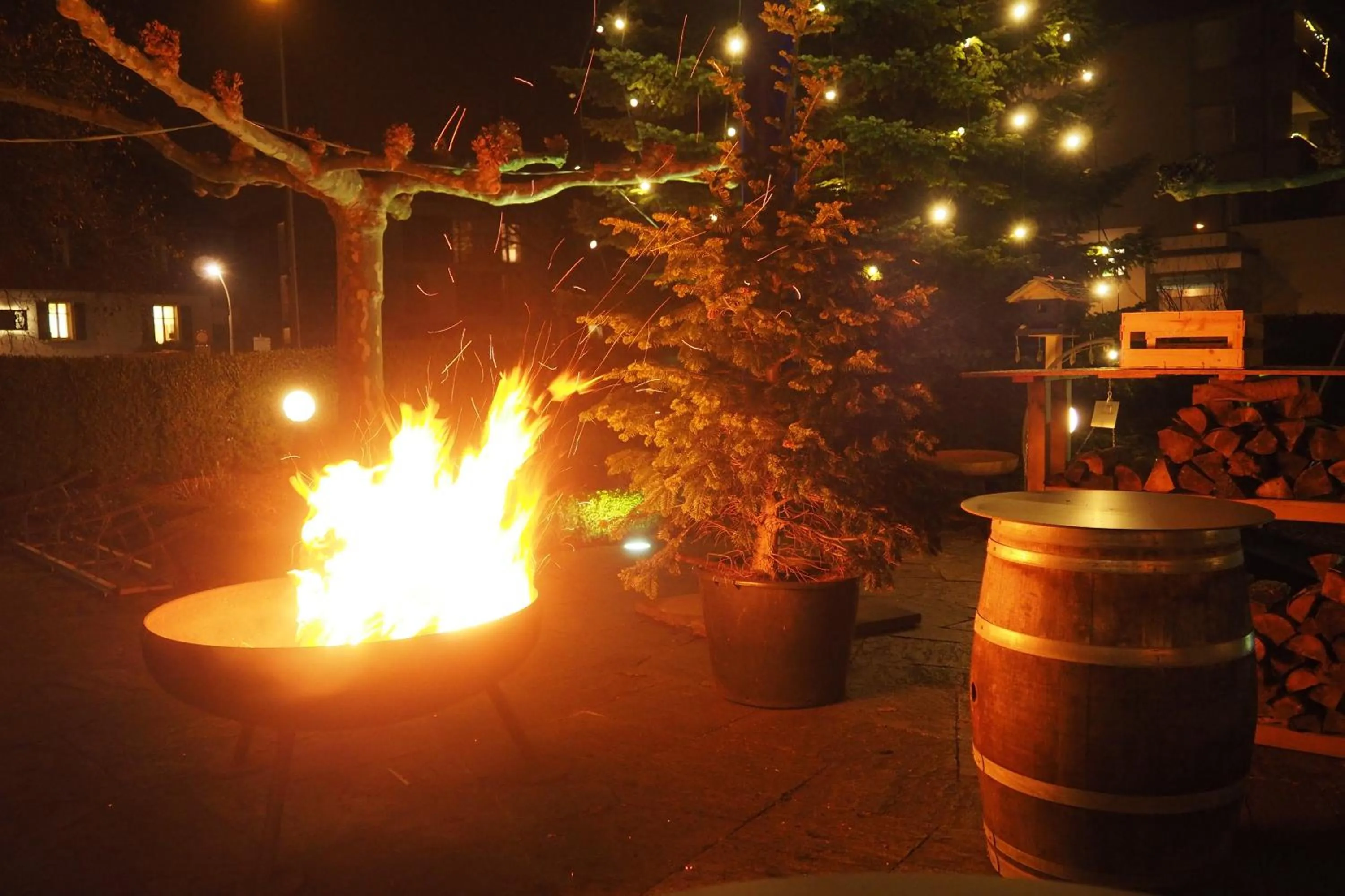 Garden view in Hotel Restaurant Rössle