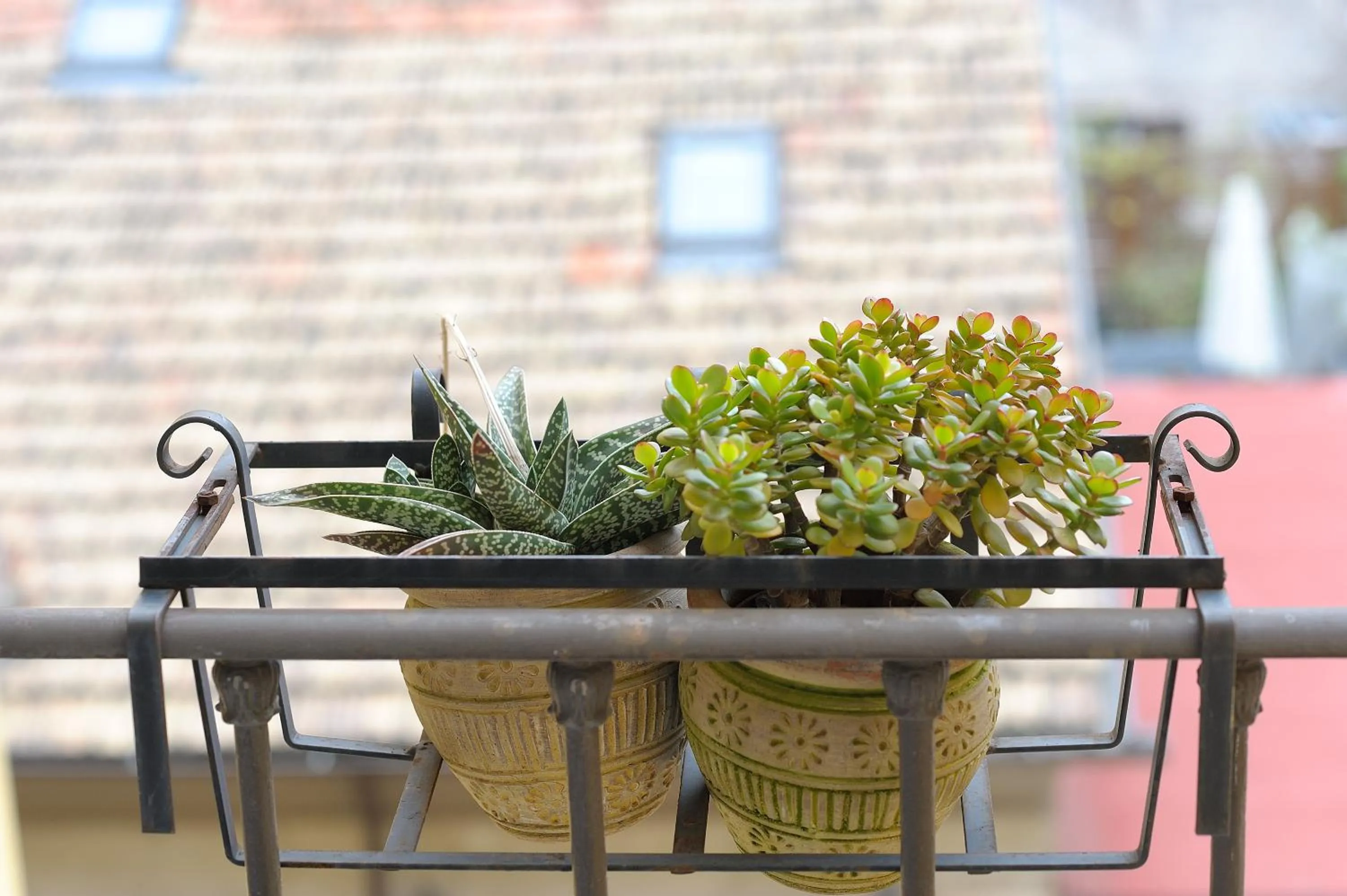 Decorative detail in Aquarius Inn