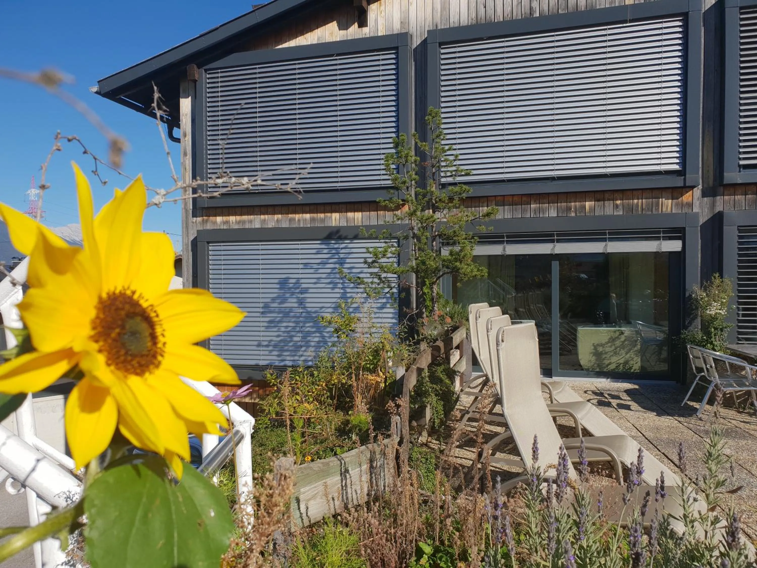 Balcony/Terrace in Alp Art Hotel Götzens