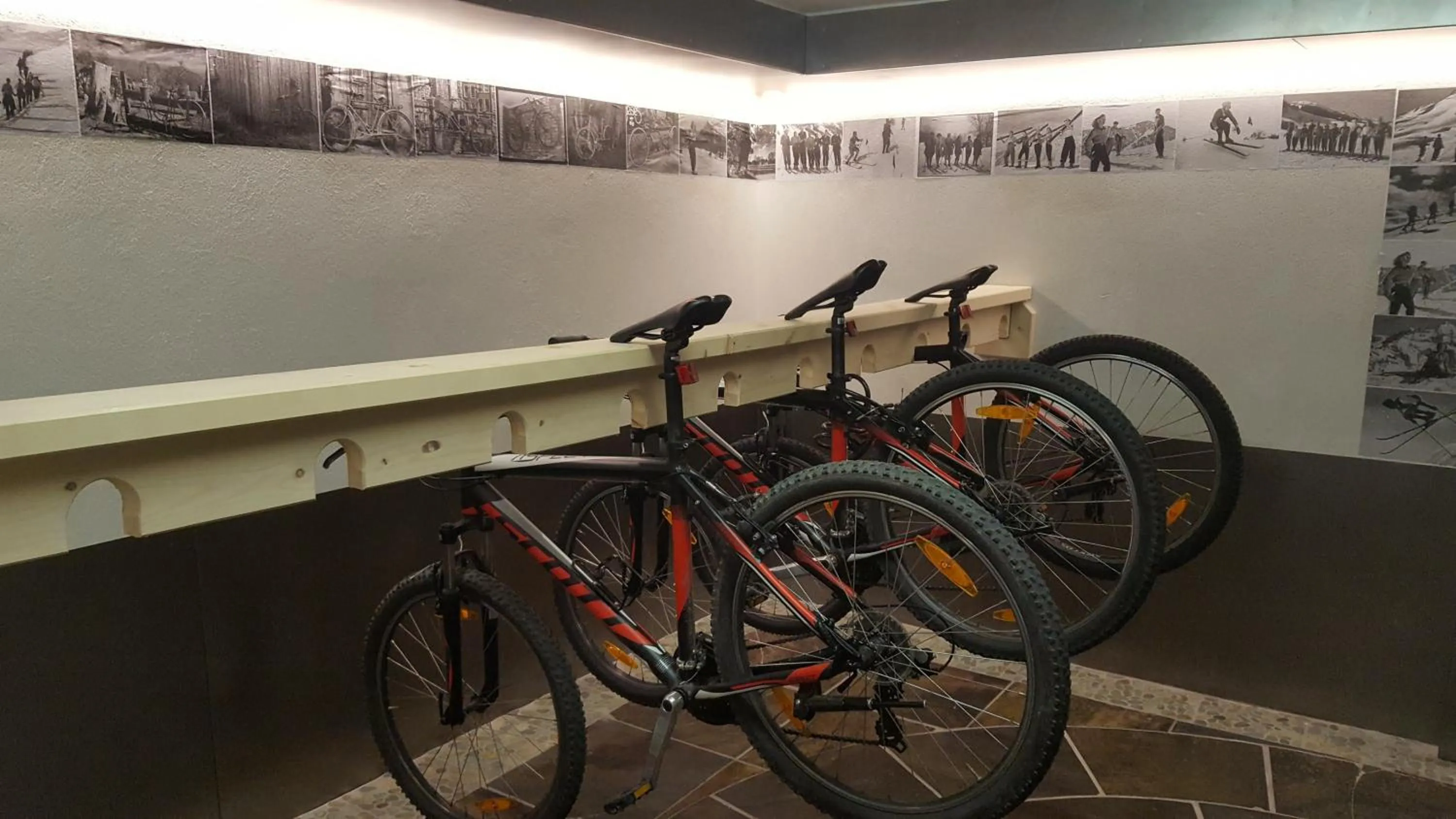 Activities in Alp Art Hotel Götzens