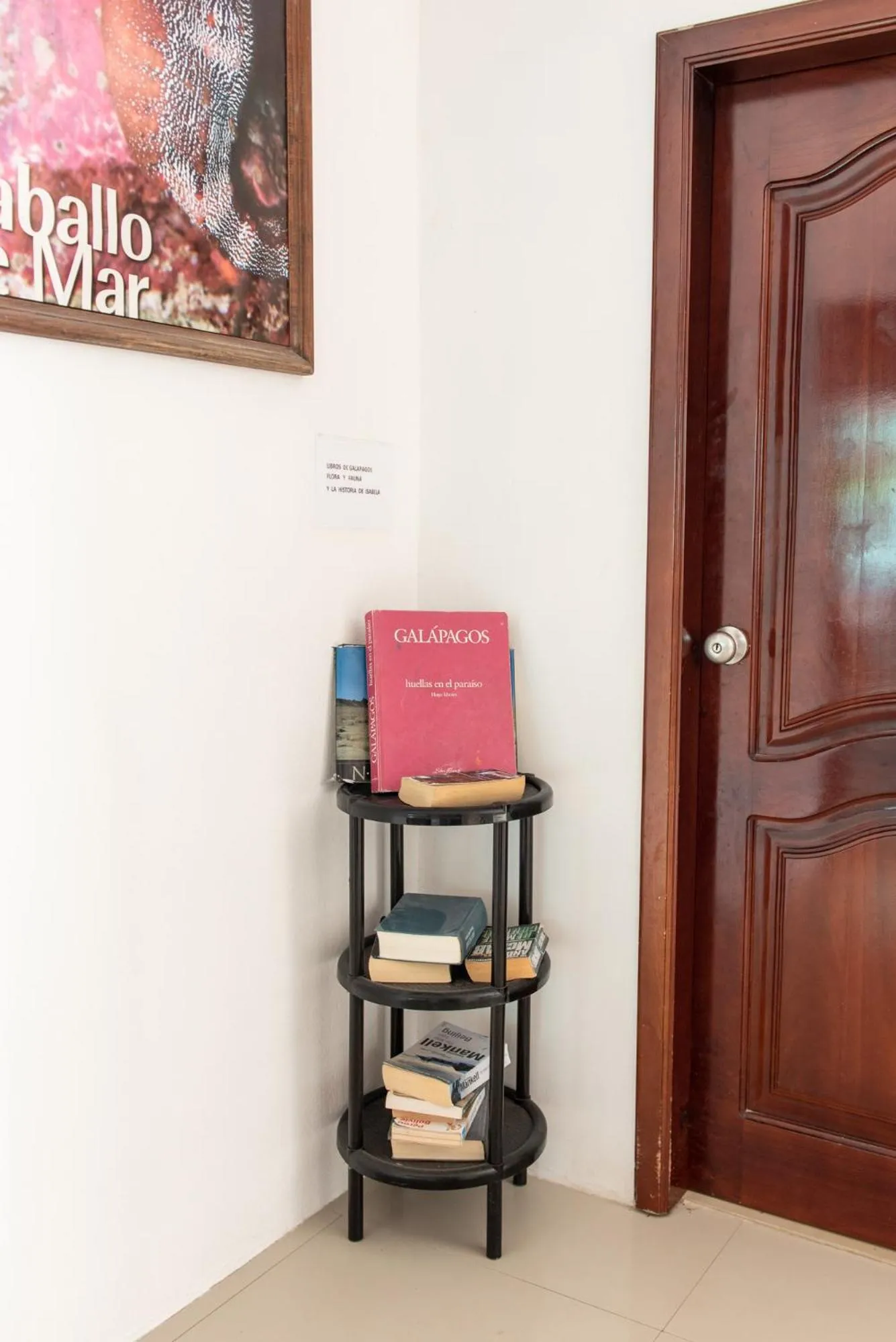 Seating area in Hotel LA GRAN TORTUGA - ᯤ STARLINK