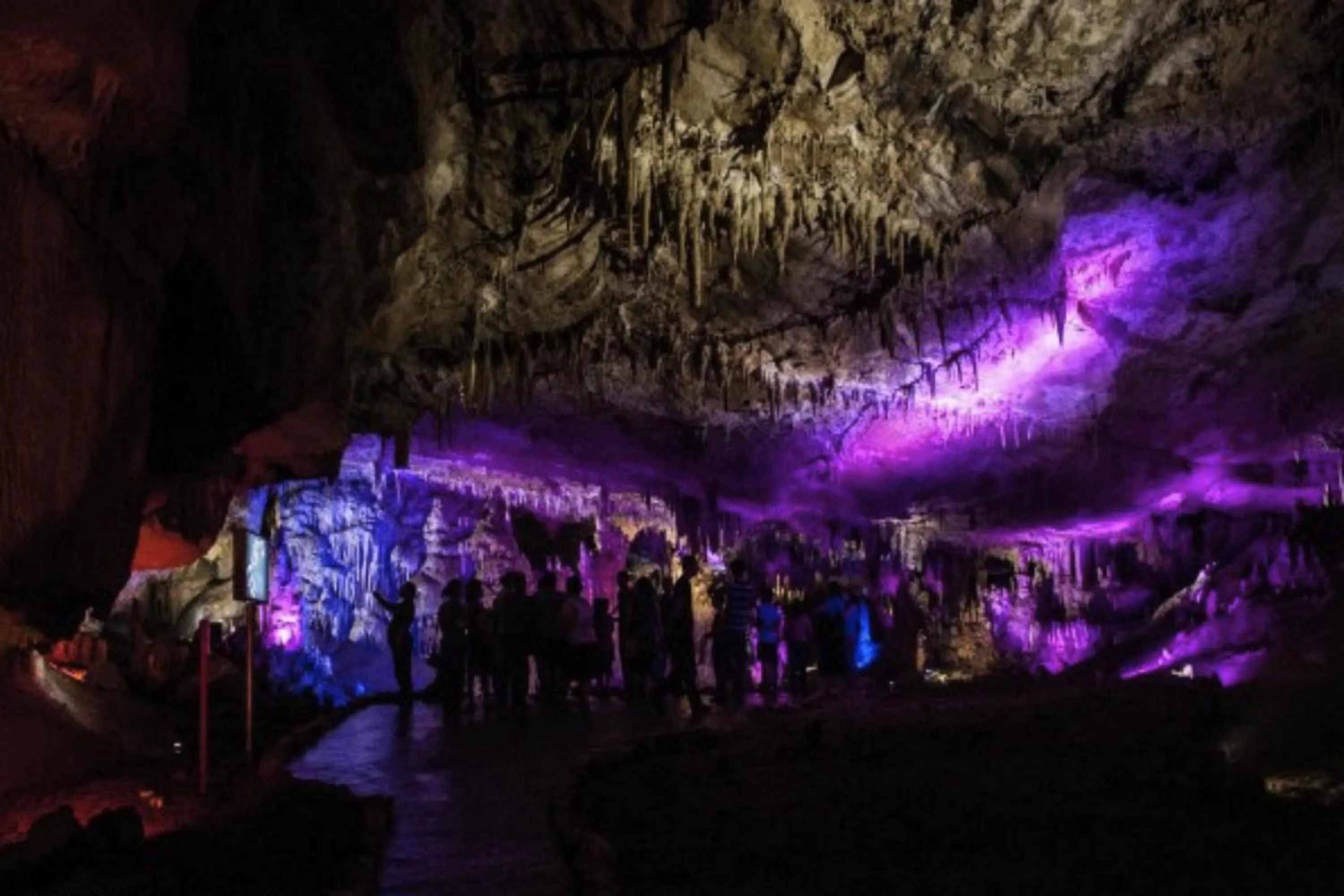 group of guests in Tskaltubo Plaza Hotel