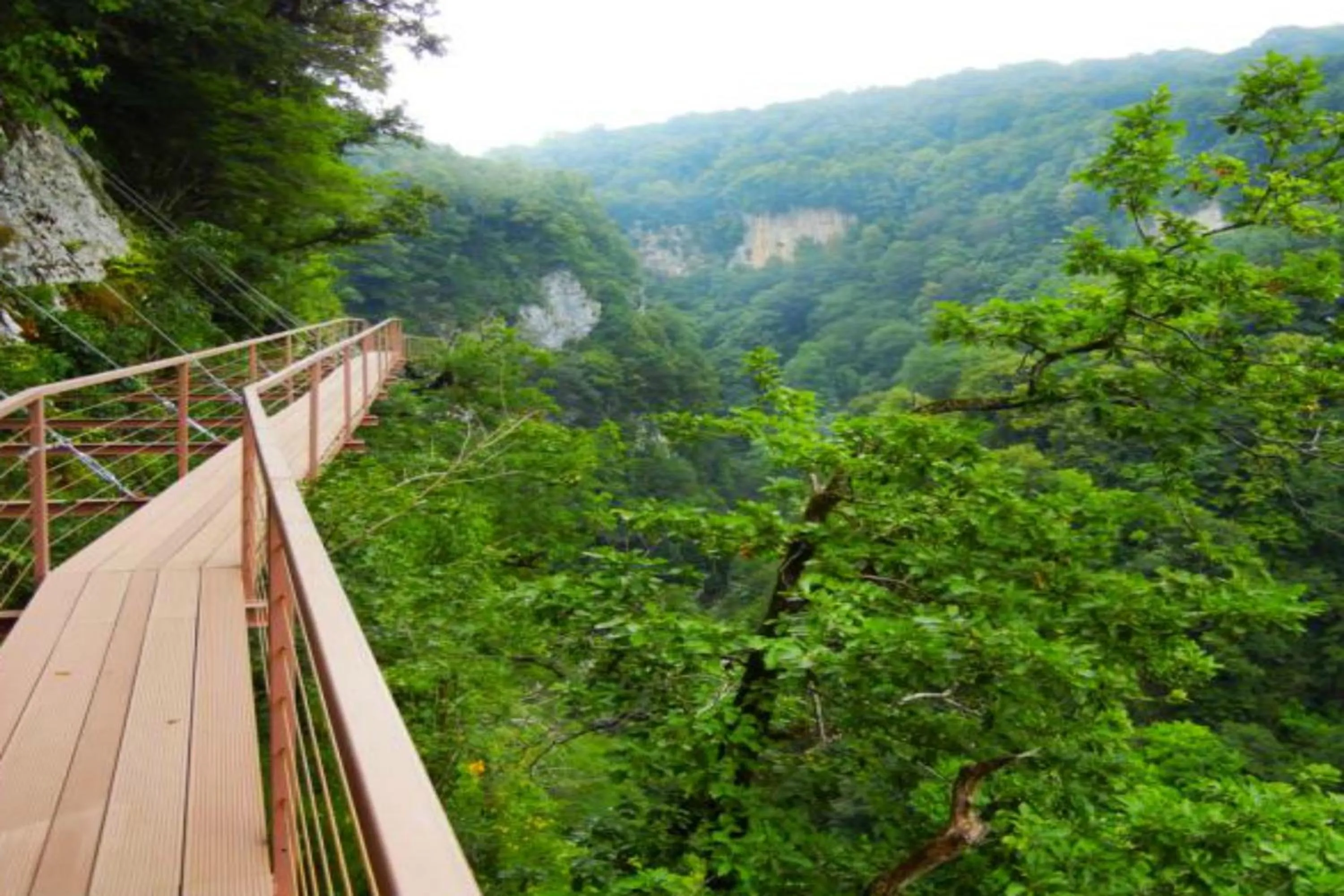 Natural landscape in Tskaltubo Plaza Hotel