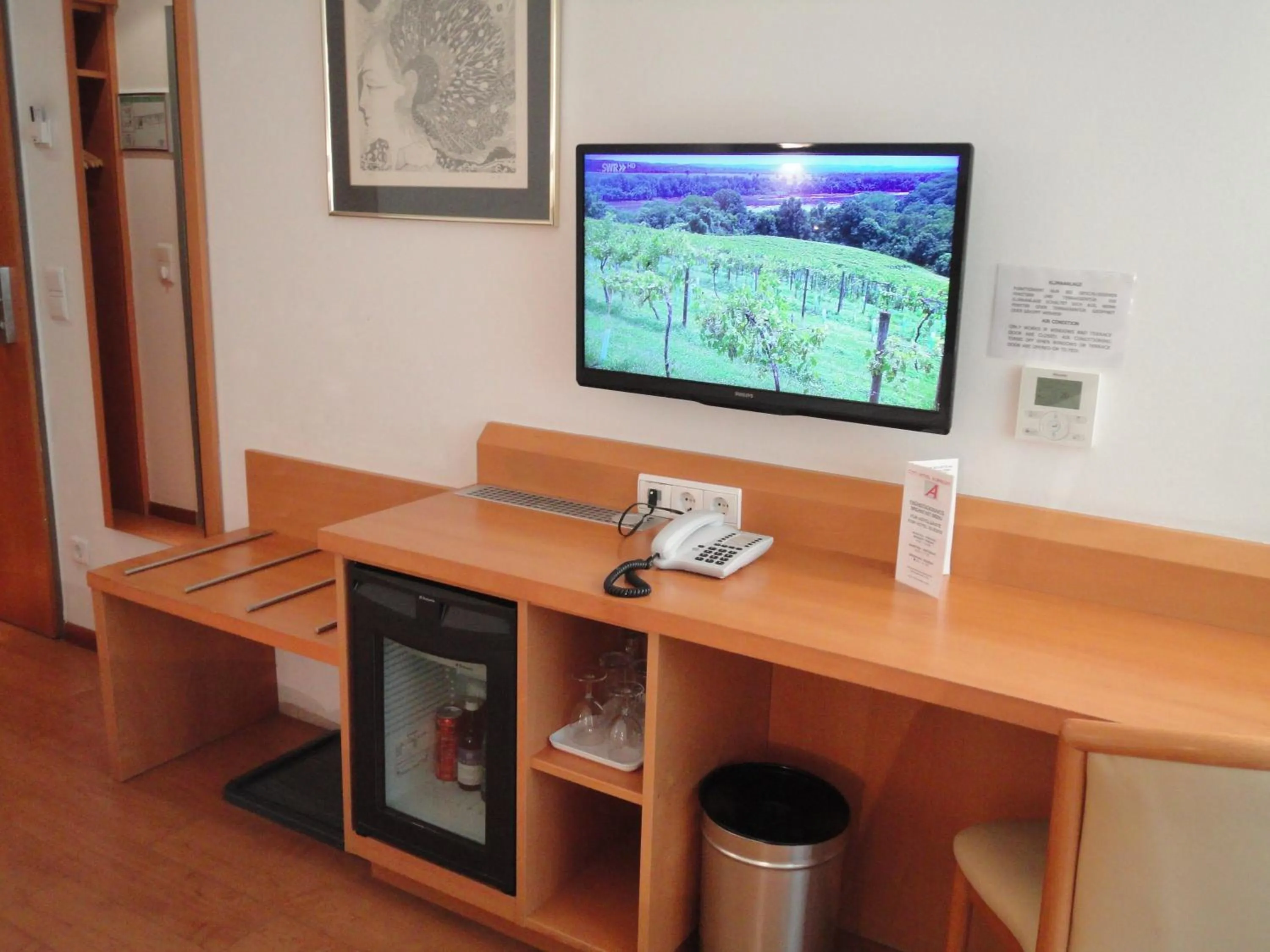 TV and multimedia in City Hotel Albrecht