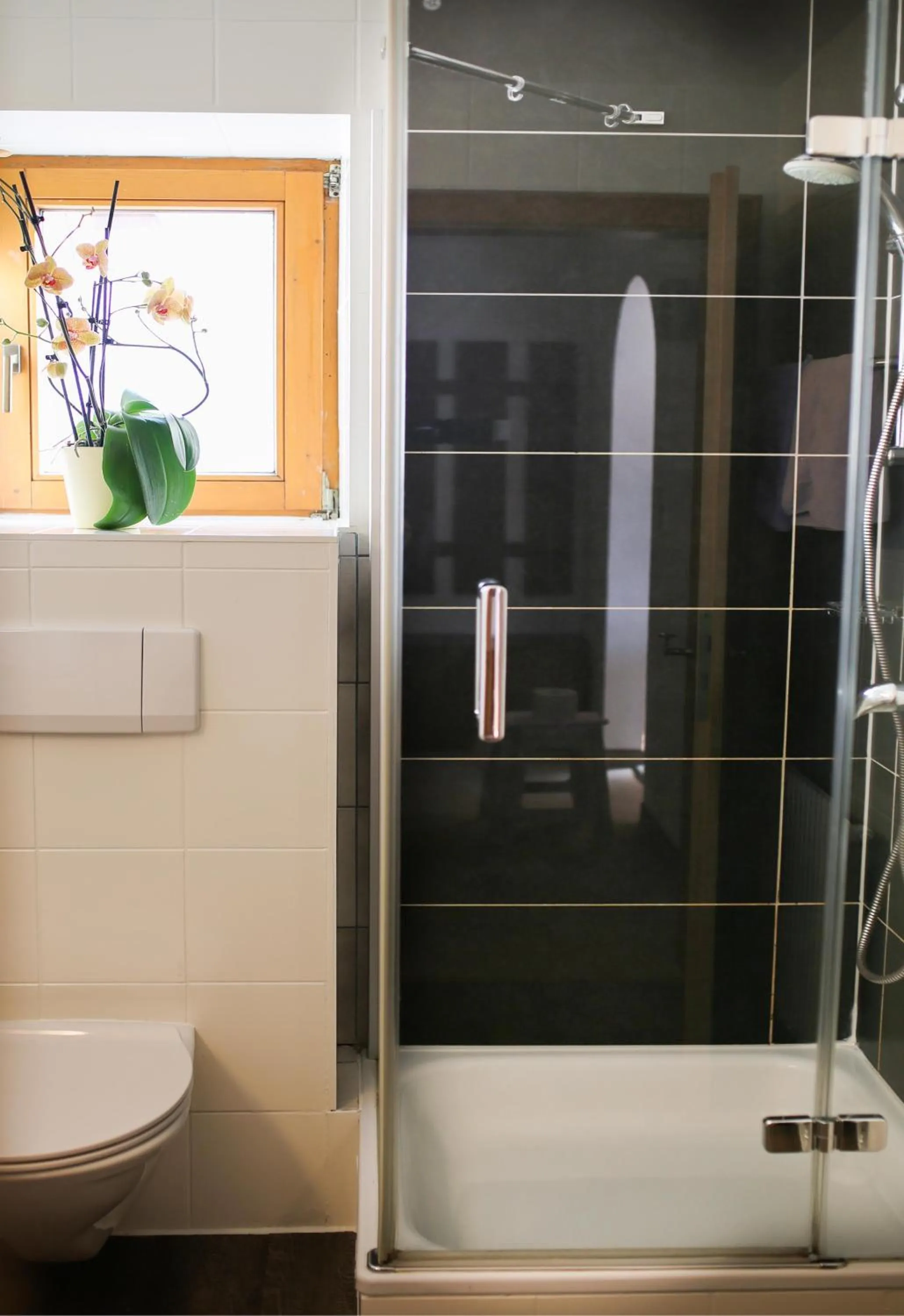 Shower in Hotel Sonnenhof - bed & breakfast & appartements