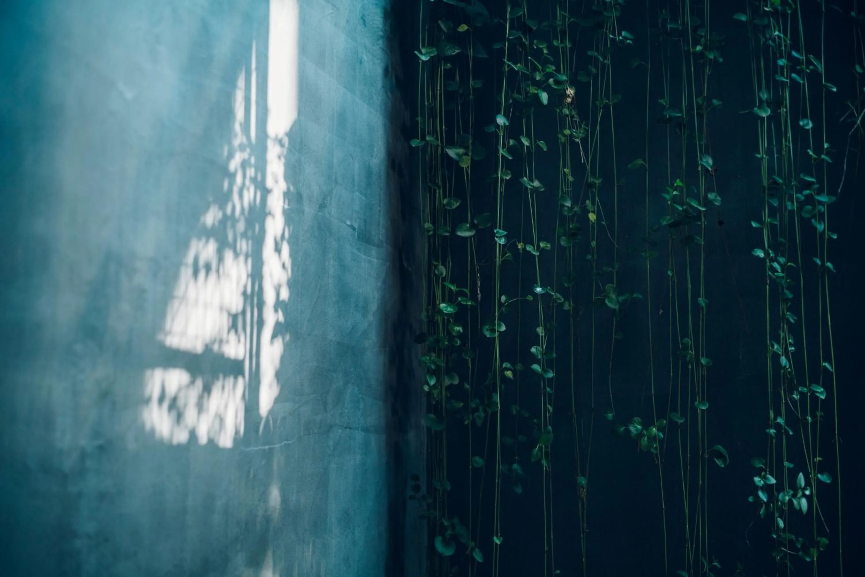 Day in Nozomu House Kyoto