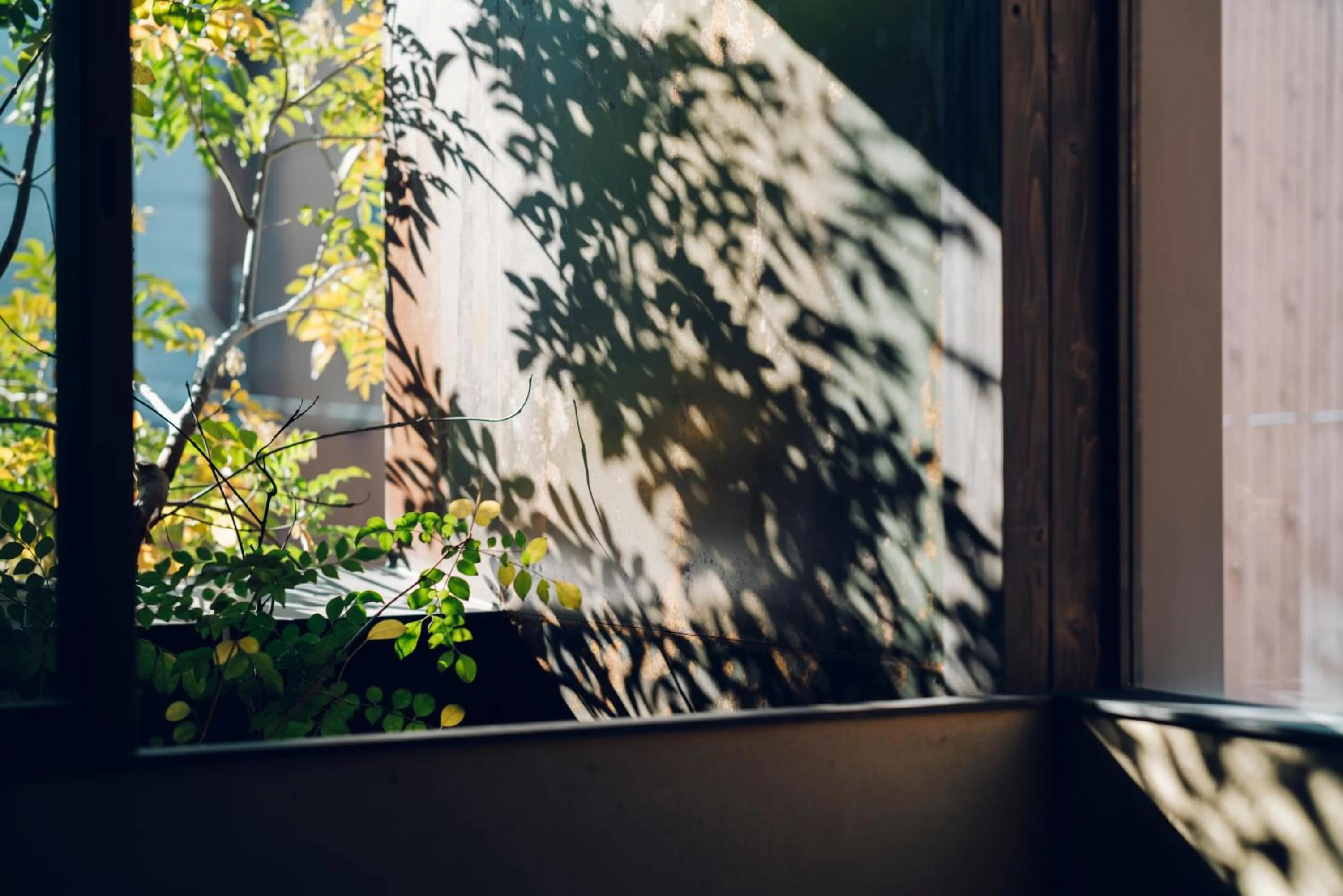 Day in Sabino House Kyoto