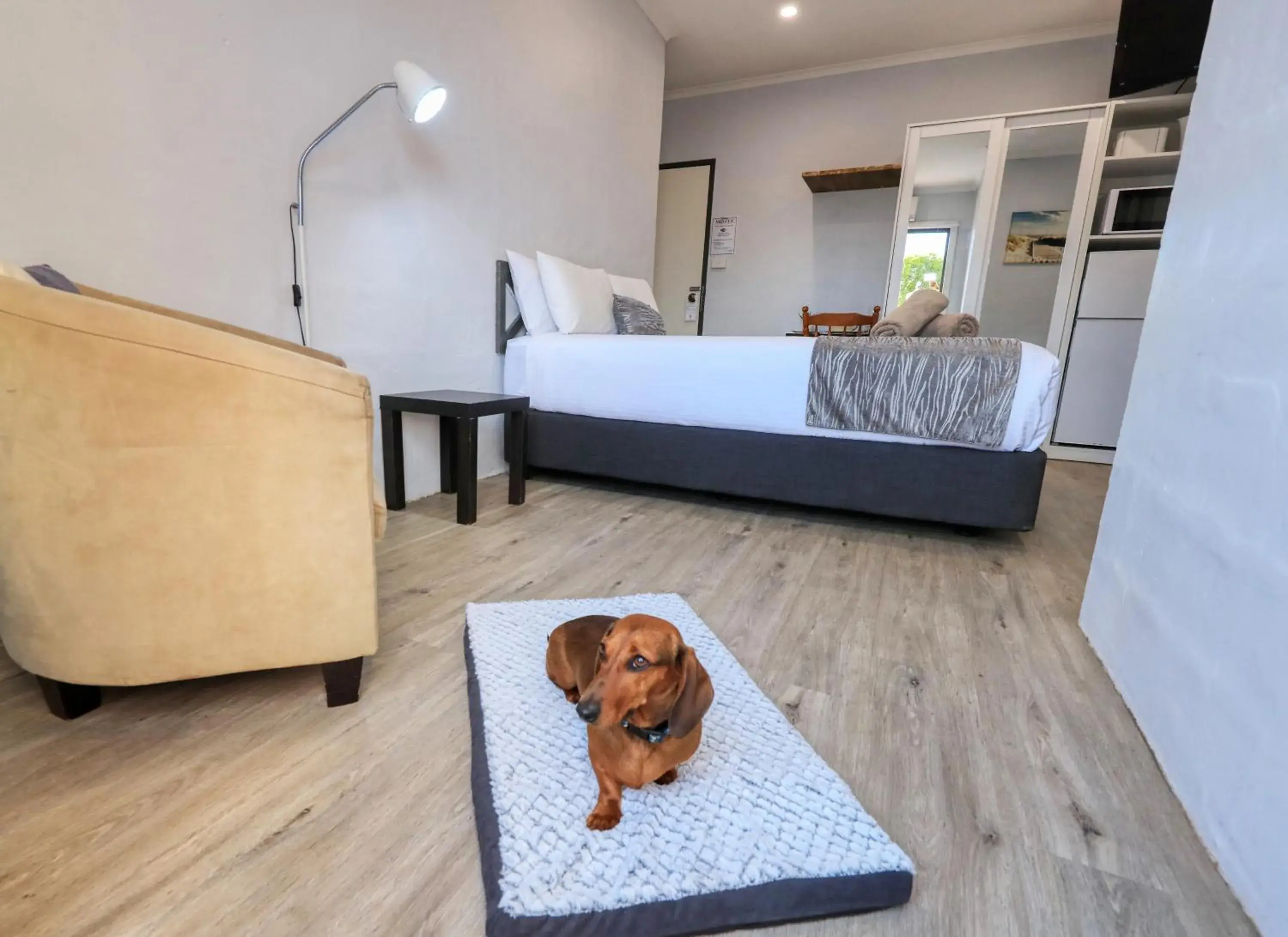 Standard Queen Room - Pet Friendly in Parkes Federation Motel Standard Queen Room - Pet Friendly in Parkes Federation Motel