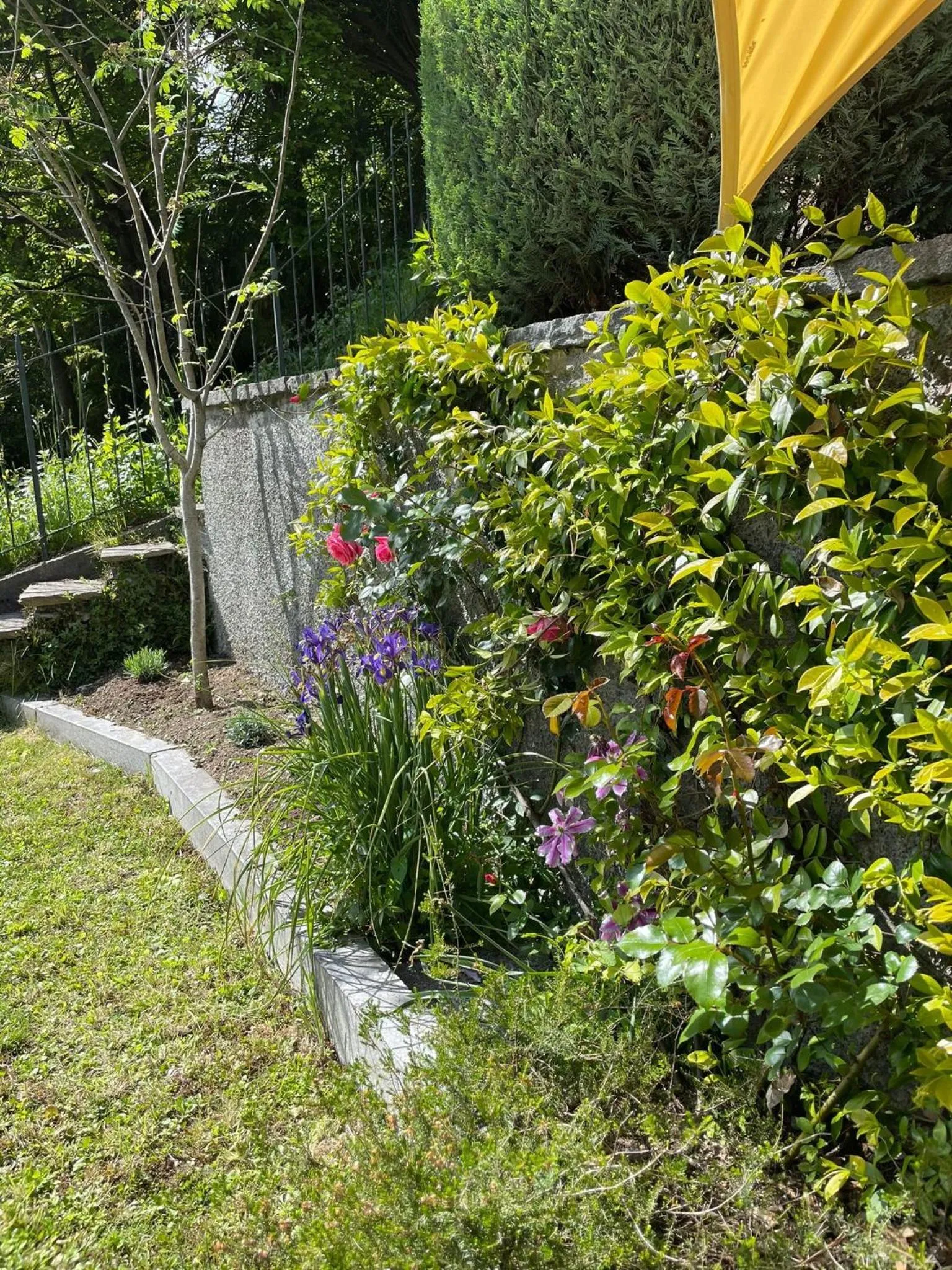 Natural landscape in B&B Gli Ulivi