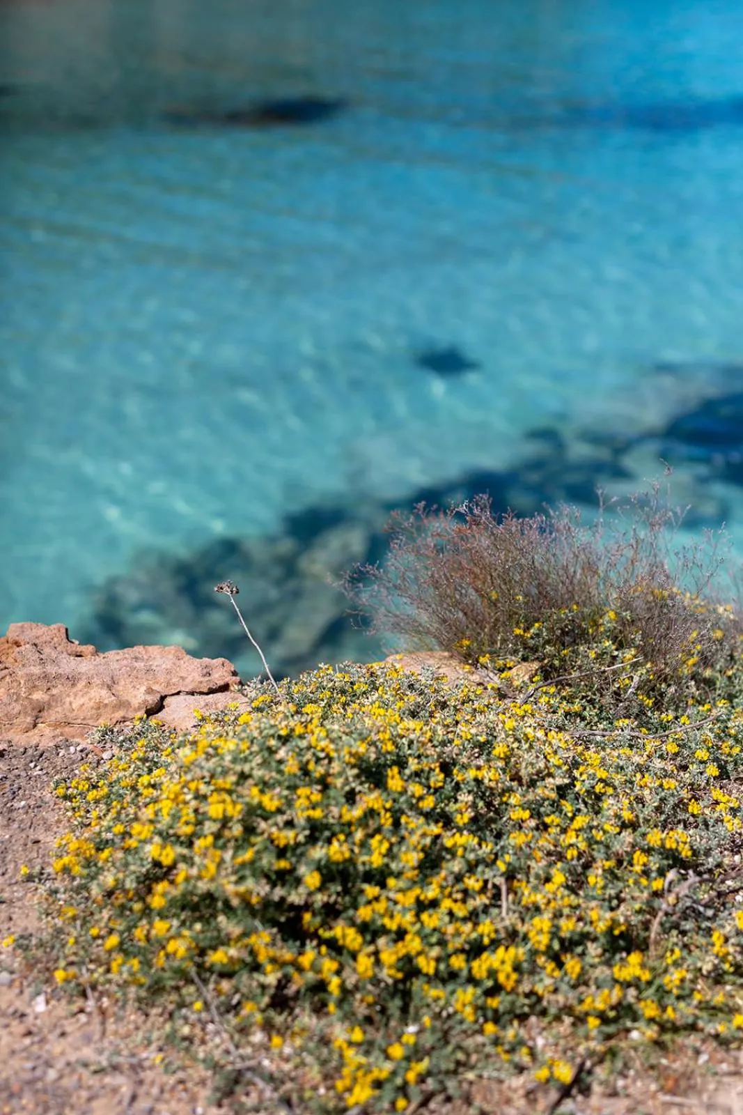 Natural landscape in Hostal La Cigüeña
