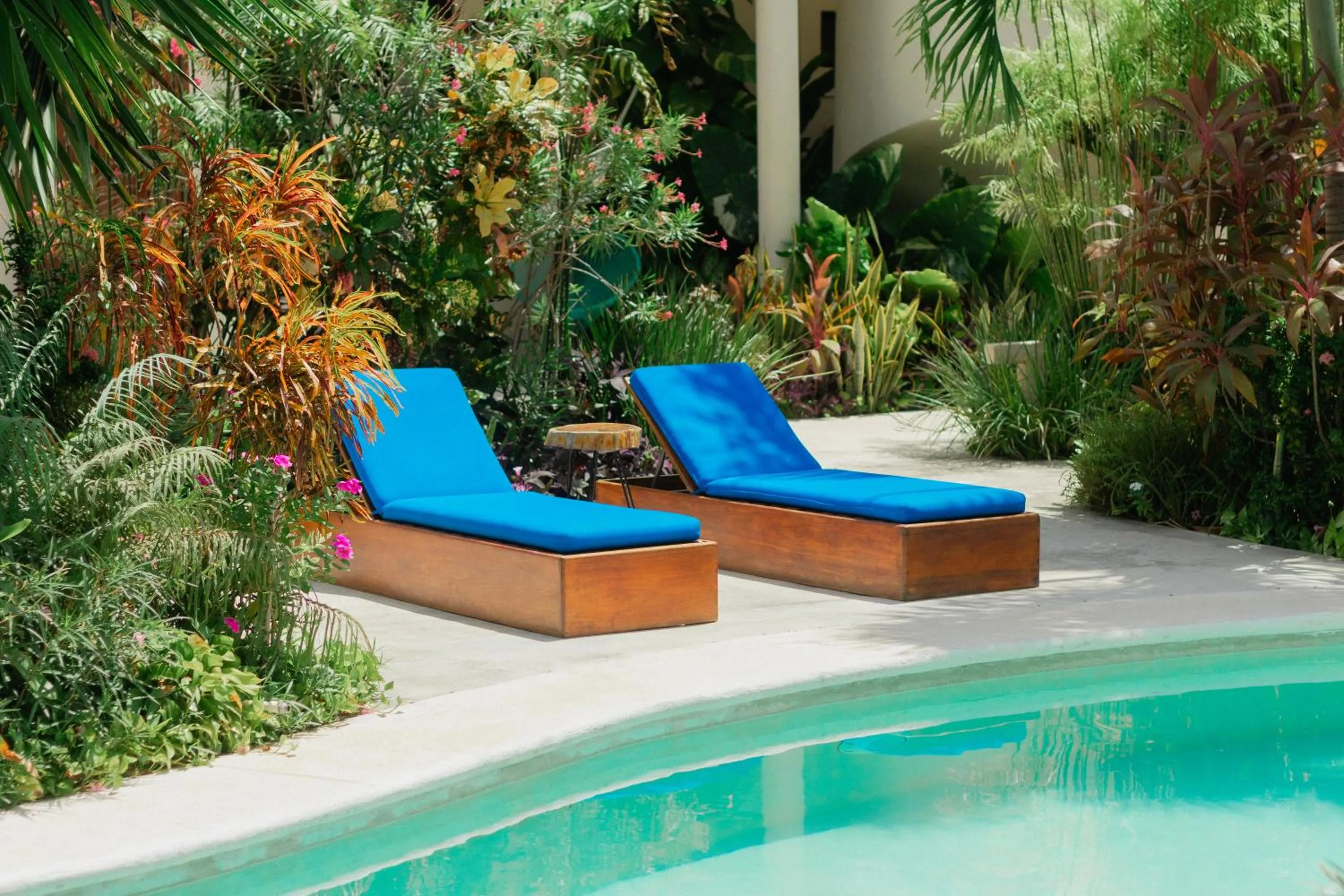 Swimming pool in Blue Palm Bacalar