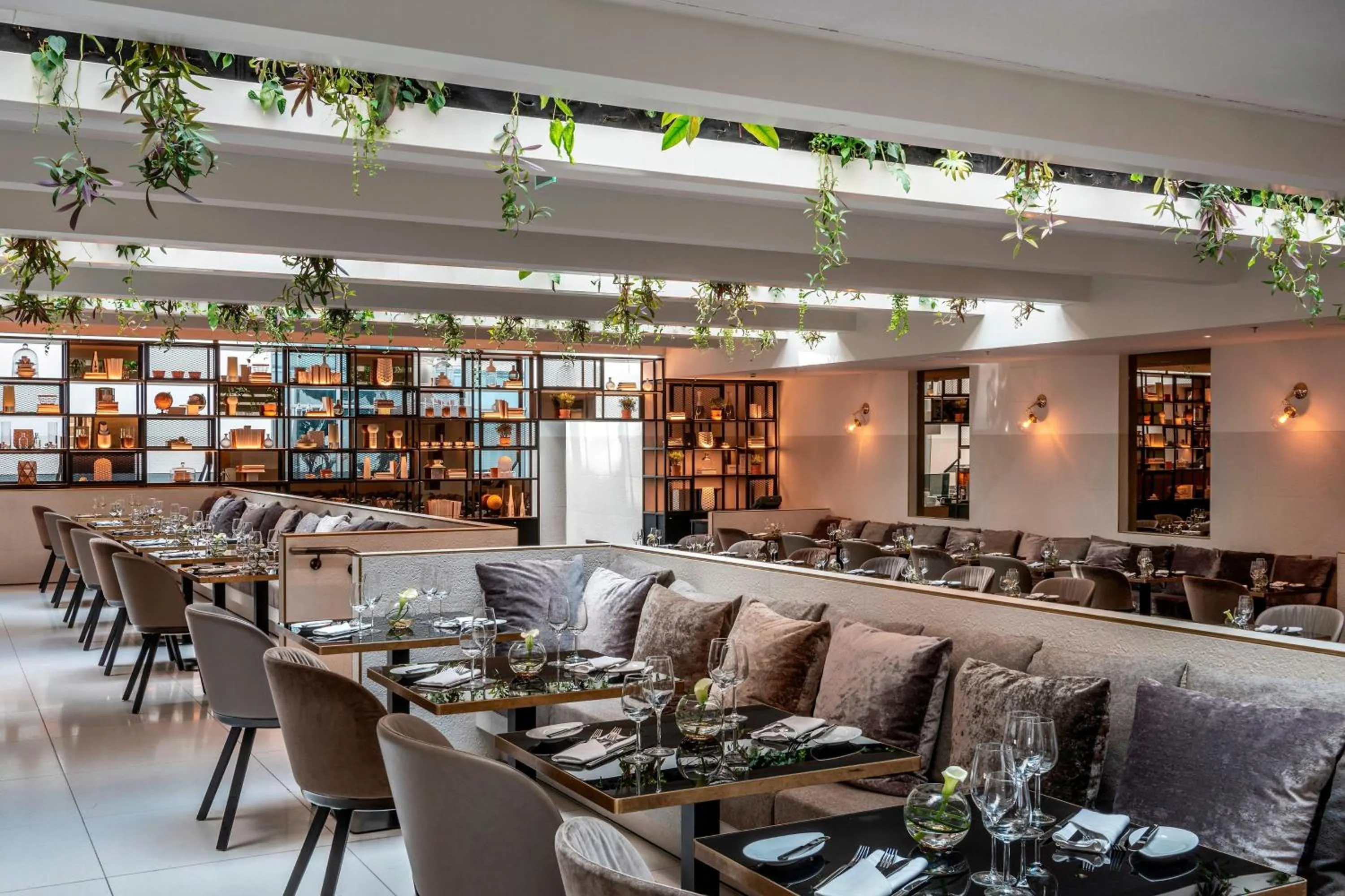 Restaurant/places to eat in Le Méridien Vienna