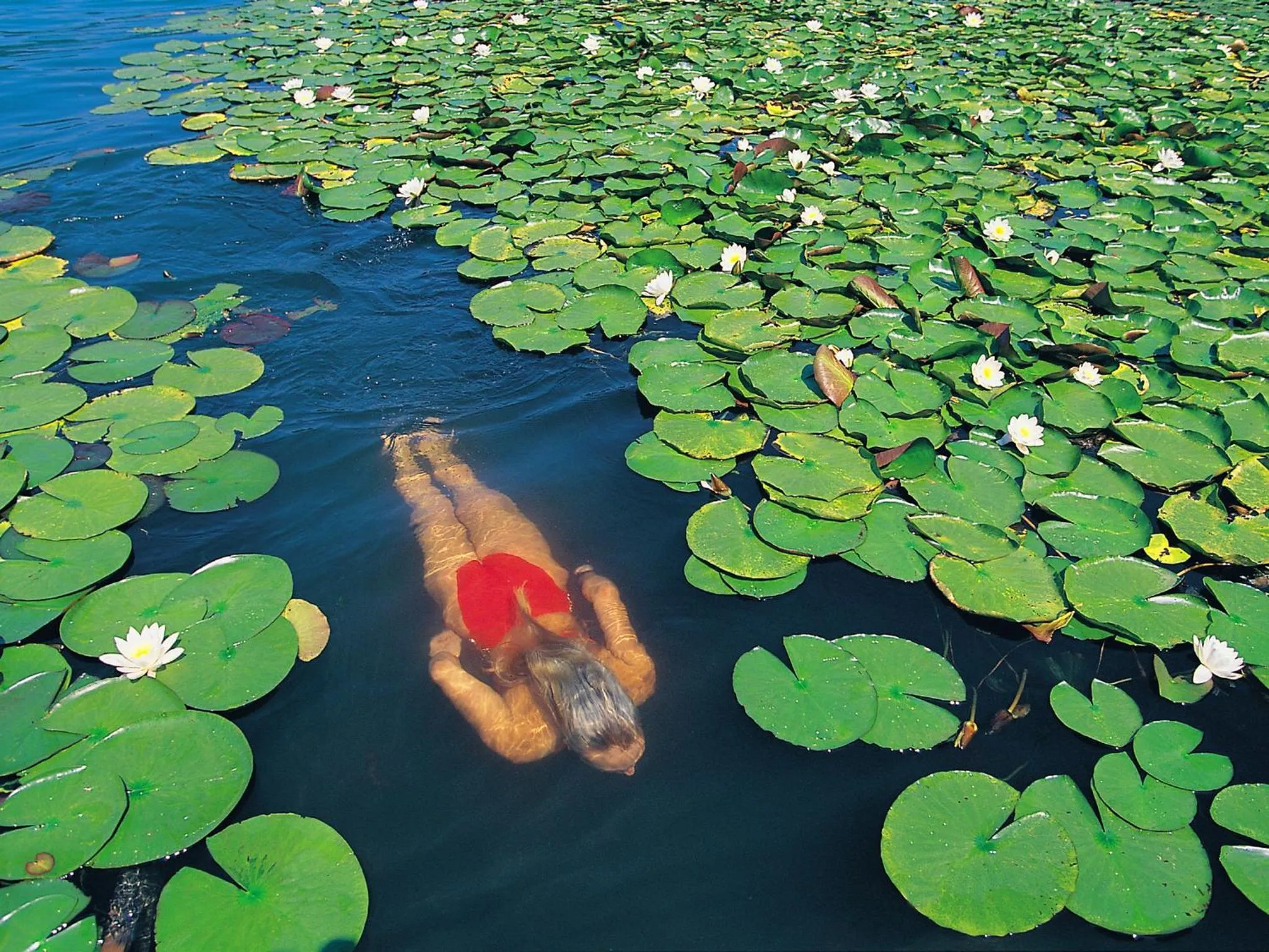 Beach in Barry Memle Directly at the Lake