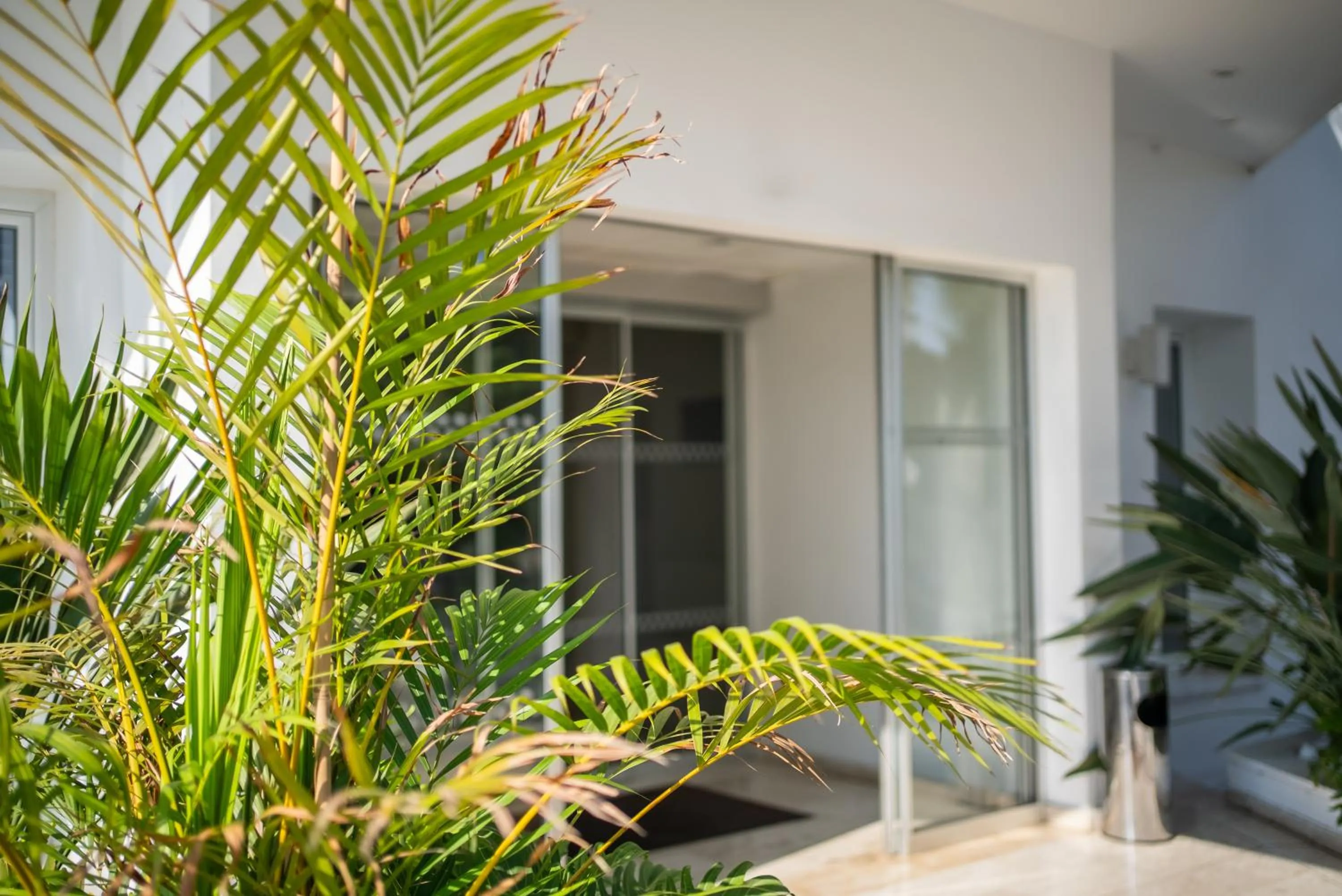 Garden in Liquid Hotel Apartments