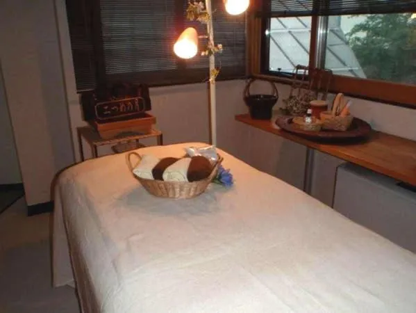 Spa and wellness centre/facilities, Bed in Yakushi no Yu Yumotokan