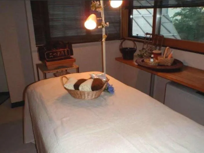 Spa and wellness centre/facilities, Bed in Yakushi no Yu Yumotokan