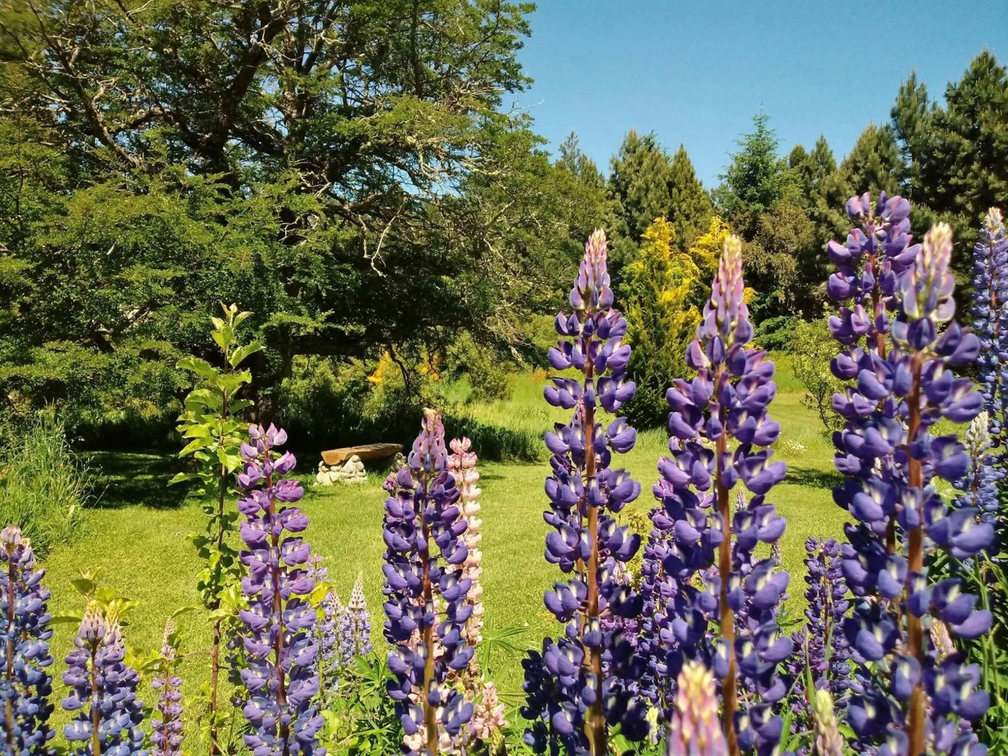 Spring in Cabañas Villa Labrador con costa de lago