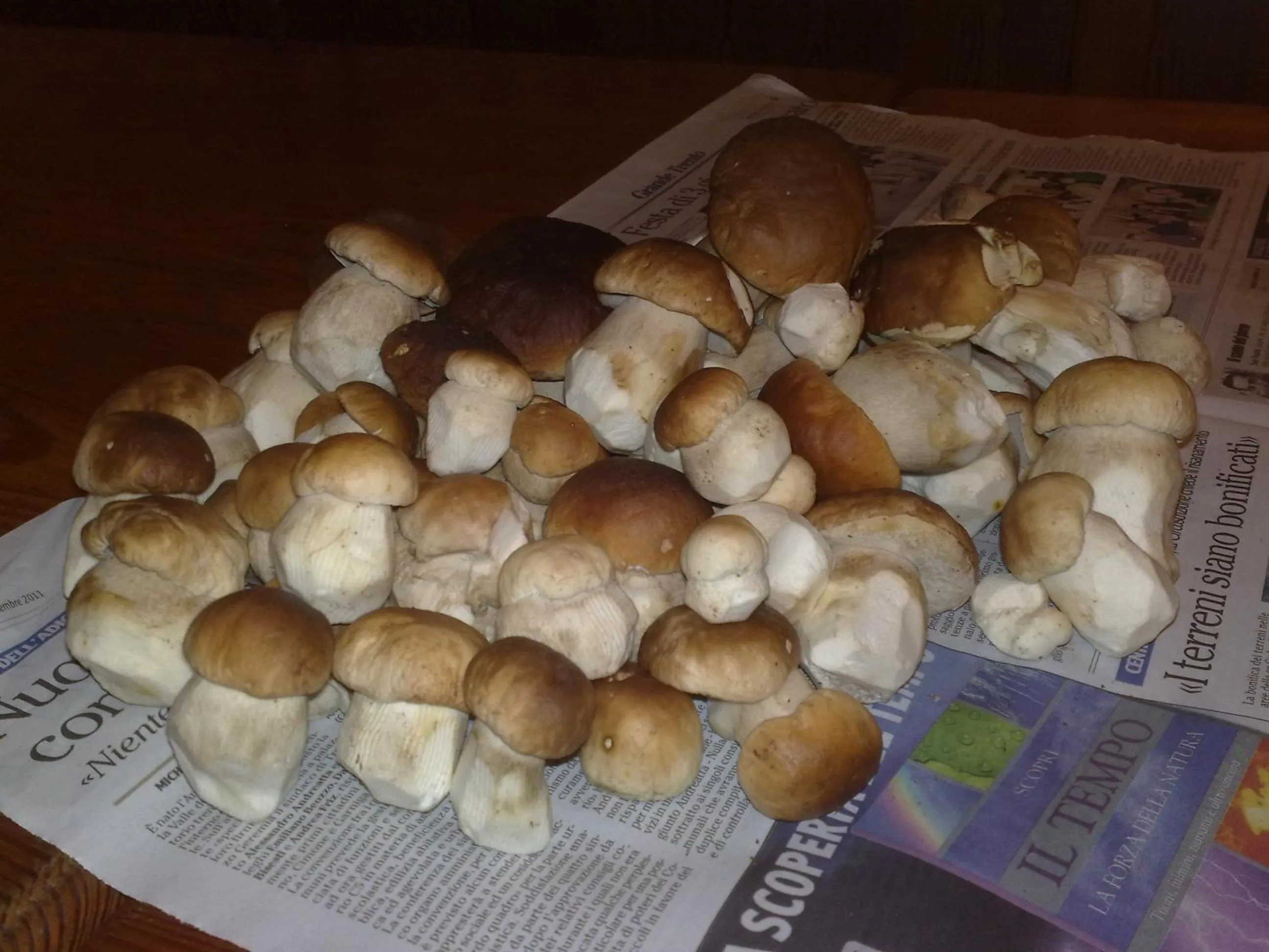 Other in B&B Tre Faggi