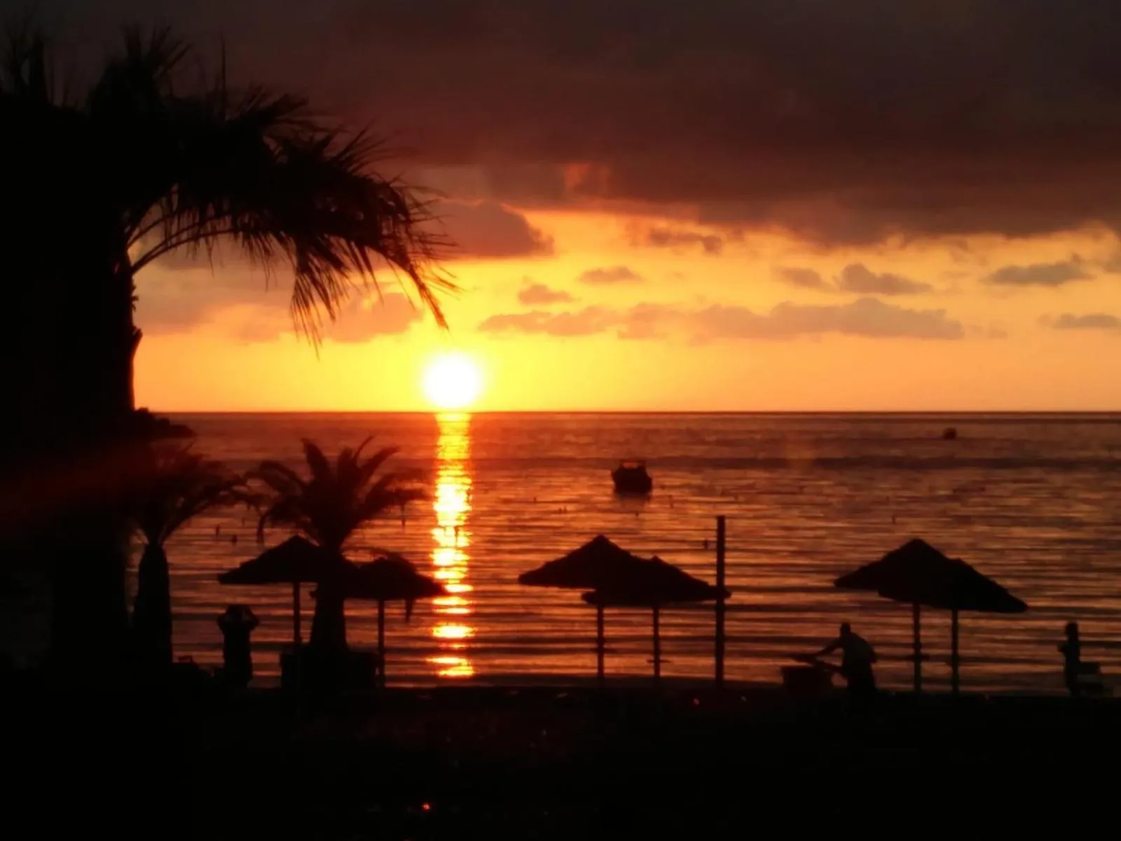 Buddha House & SPIAGGIA