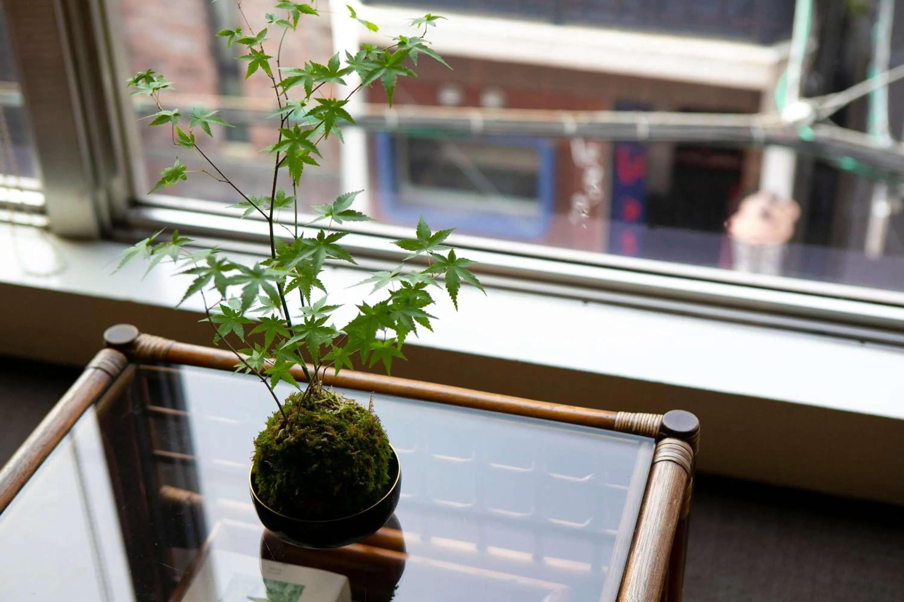 Other in Hotel New Nishino