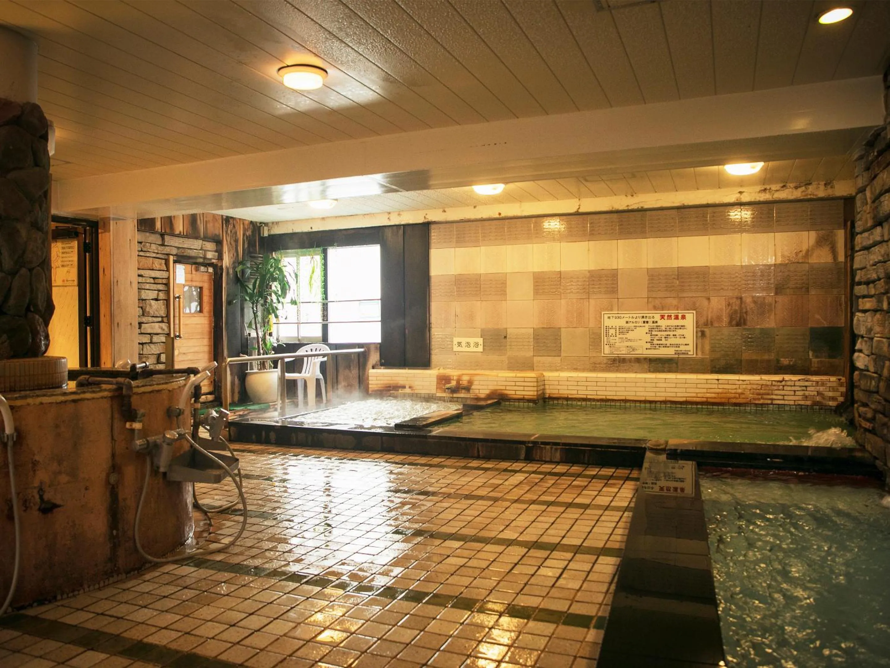 Public Bath in Hotel New Nishino