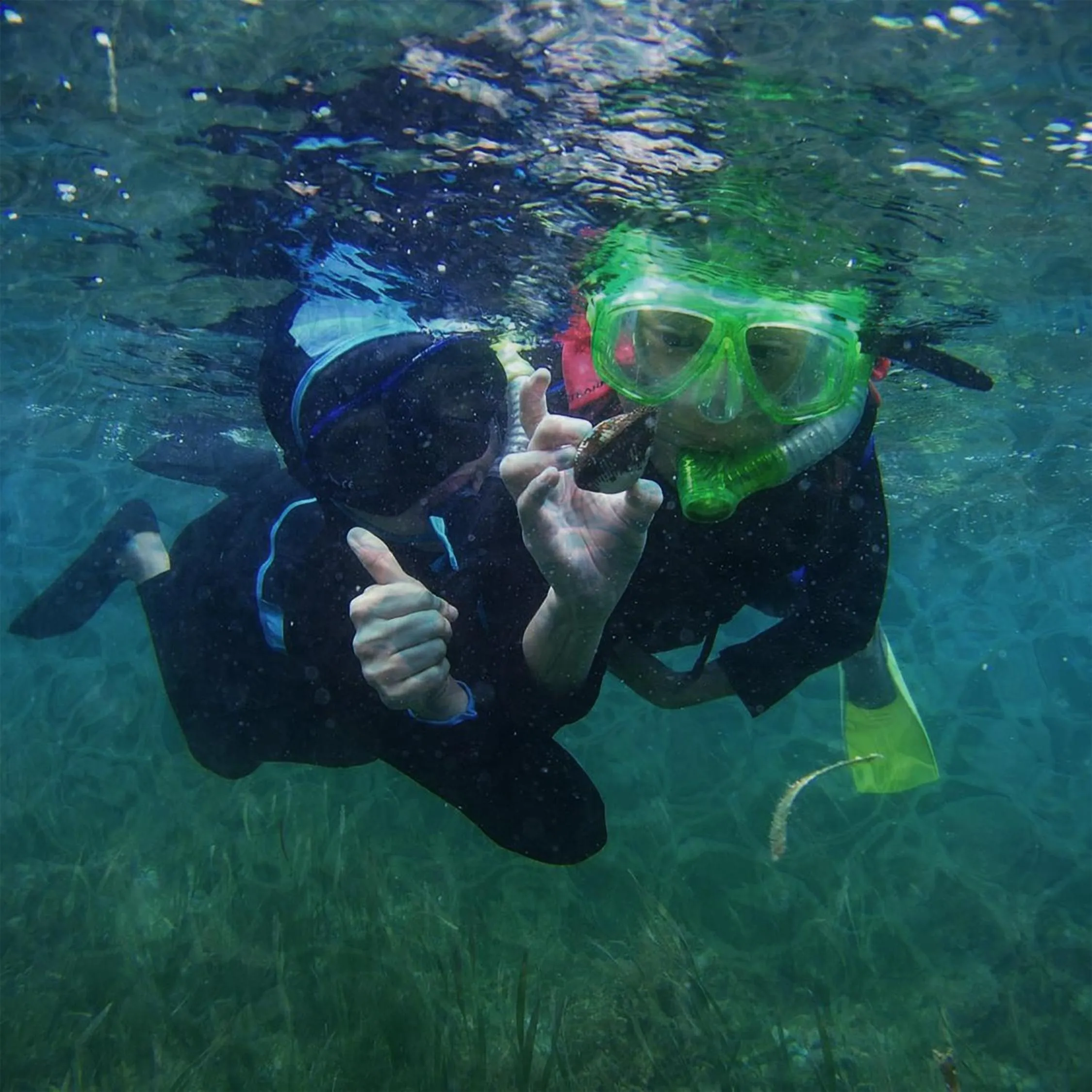 Snorkeling in One of A Kind Resort @Trikora Beach - Bintan