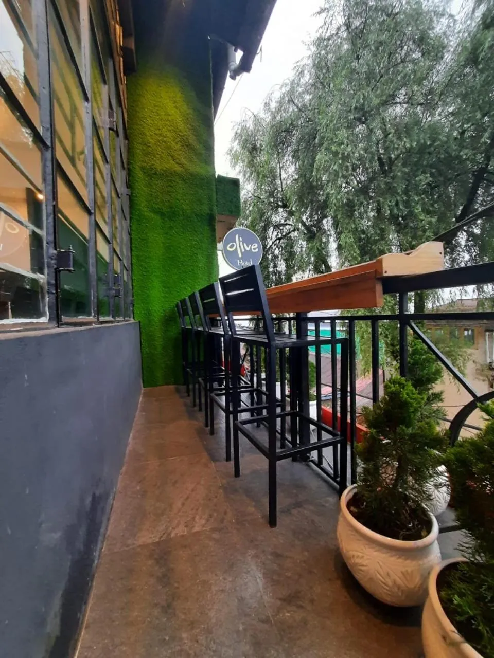 Dinner in Olive By Tej Hotel And Resorts