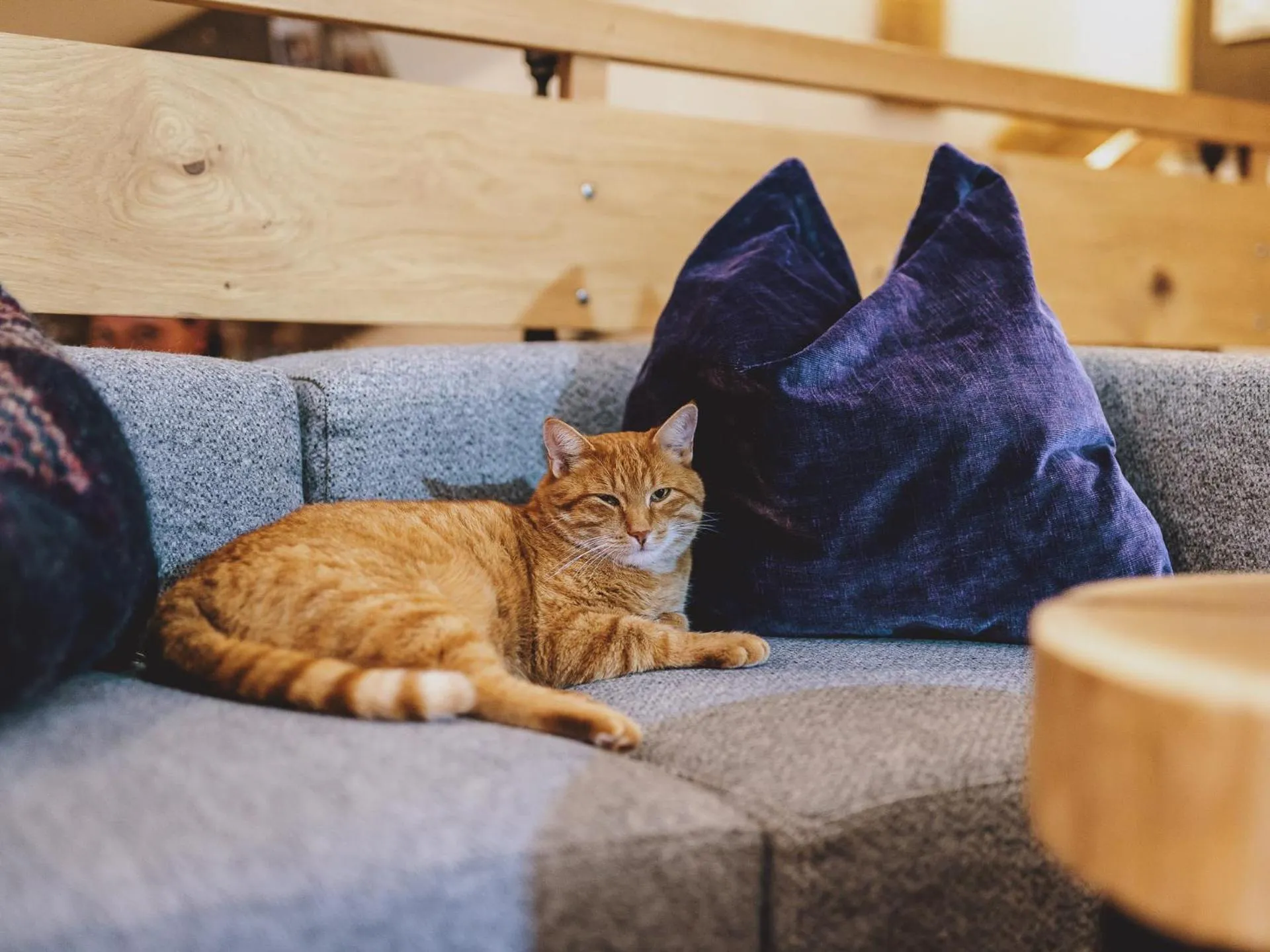 Lounge or bar in Hotel DIE SONNE