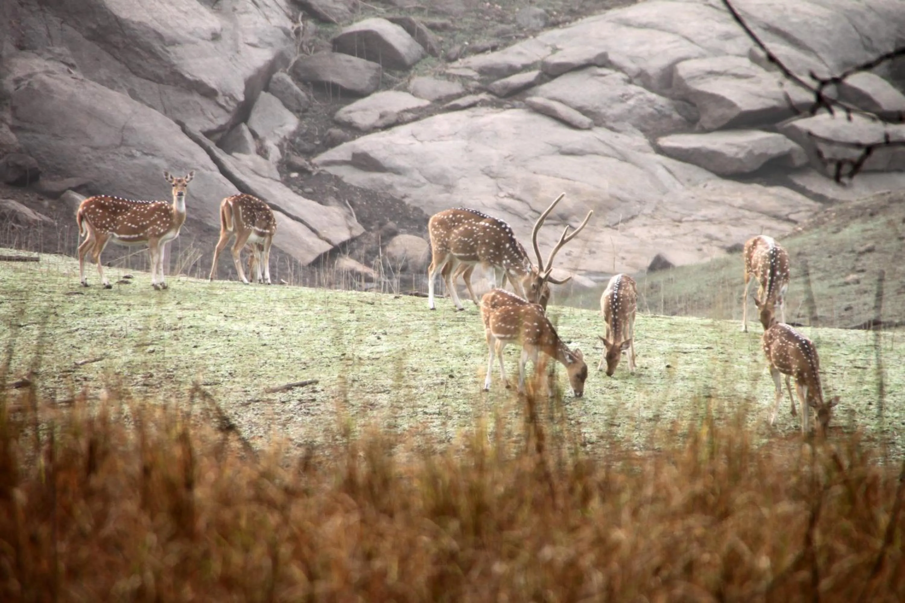 Nearby landmark in Pench Jungle Camp