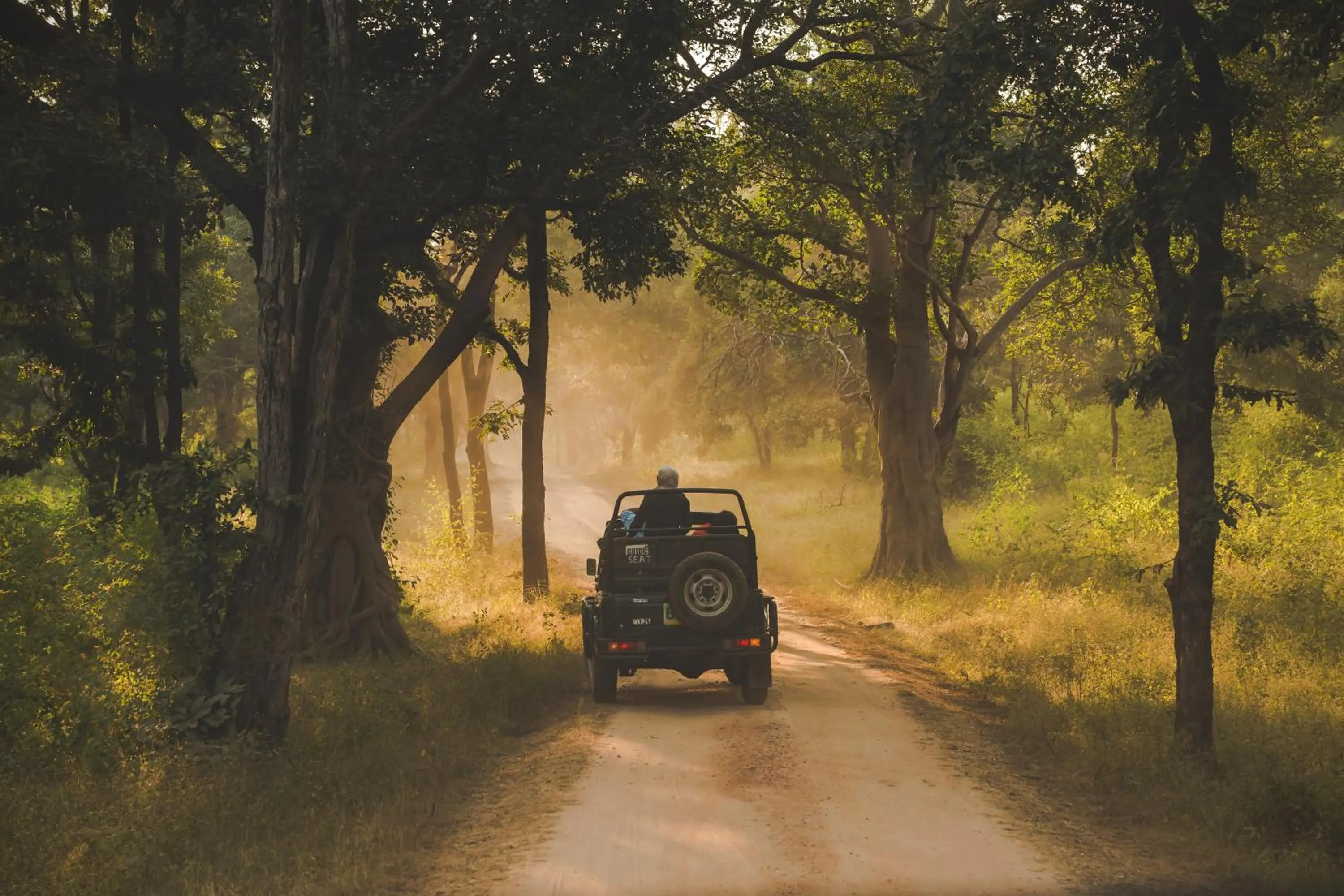 Activities in Pench Jungle Camp