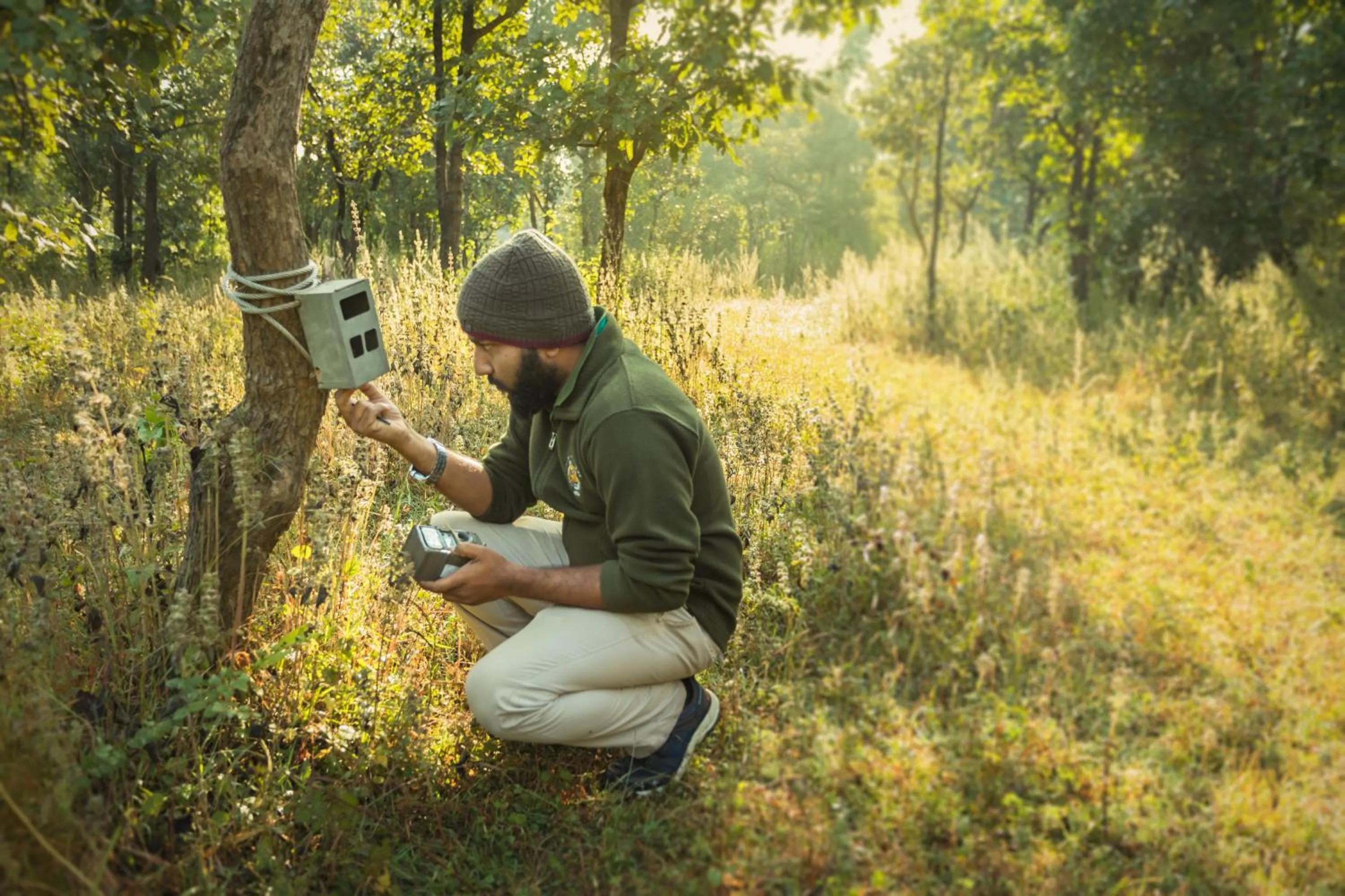 Activities in Pench Jungle Camp