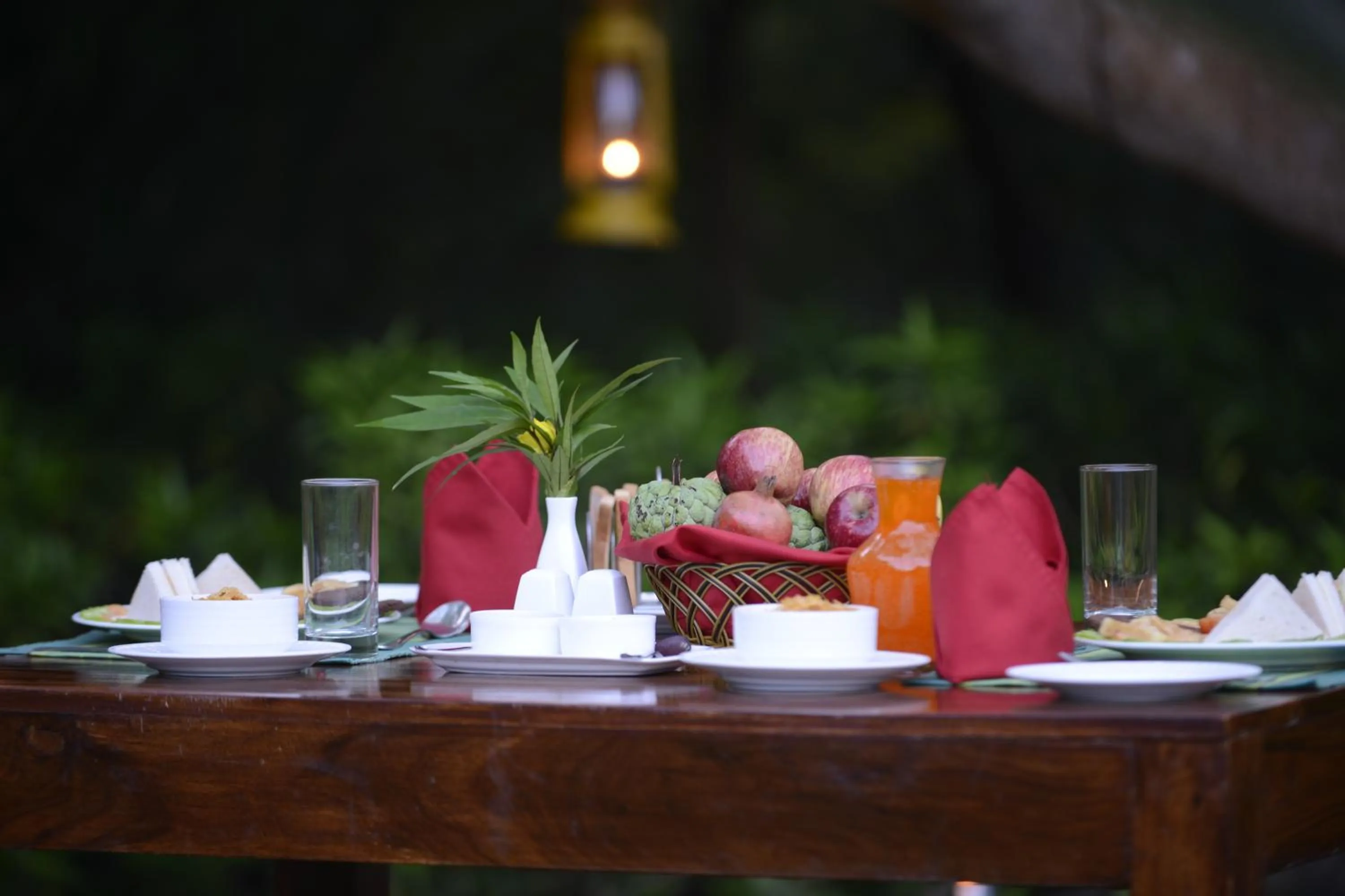 Natural landscape in Pench Jungle Camp