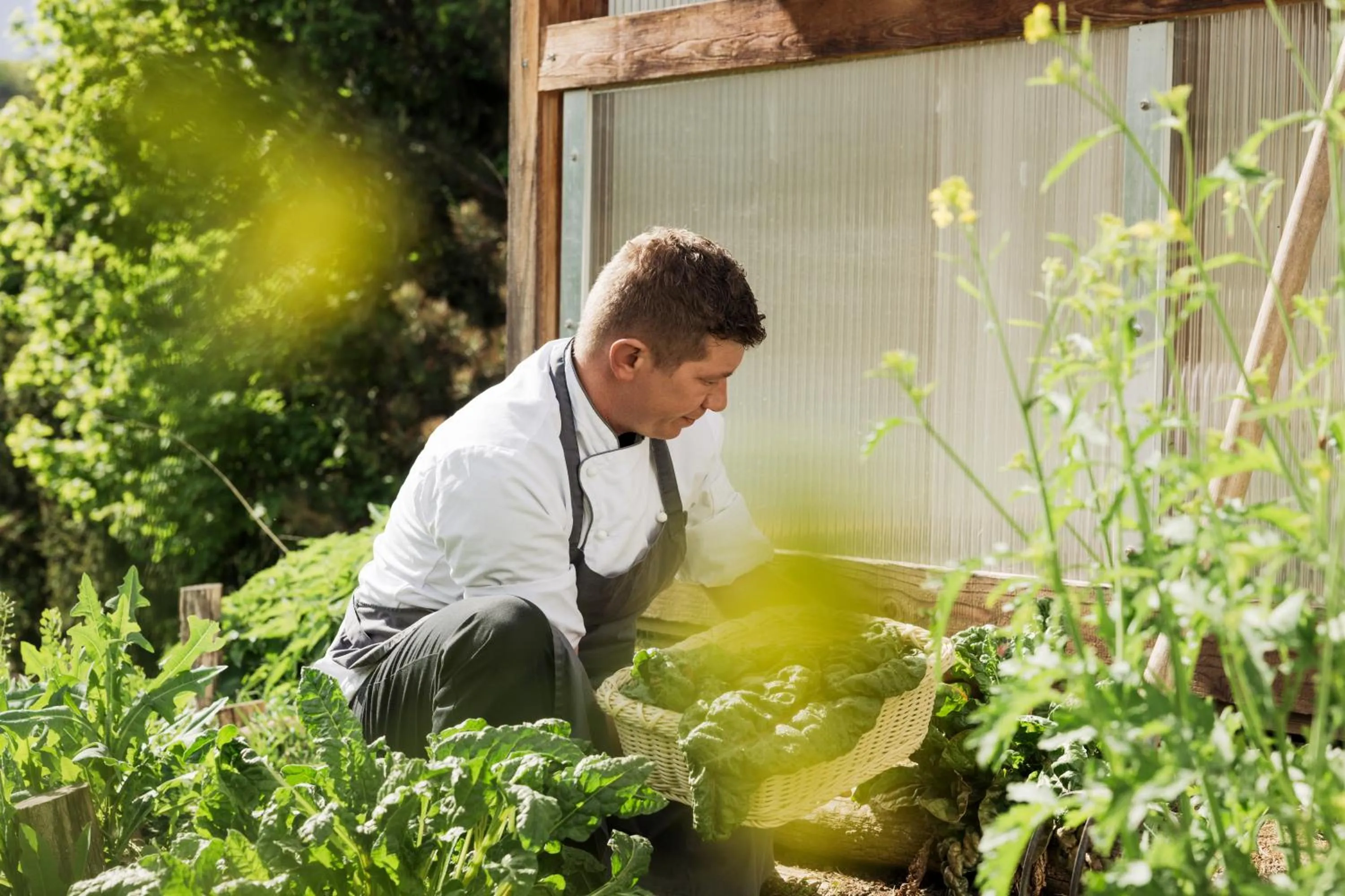 Garden in Falkensteiner Balance Resort Stegersbach - Adults only