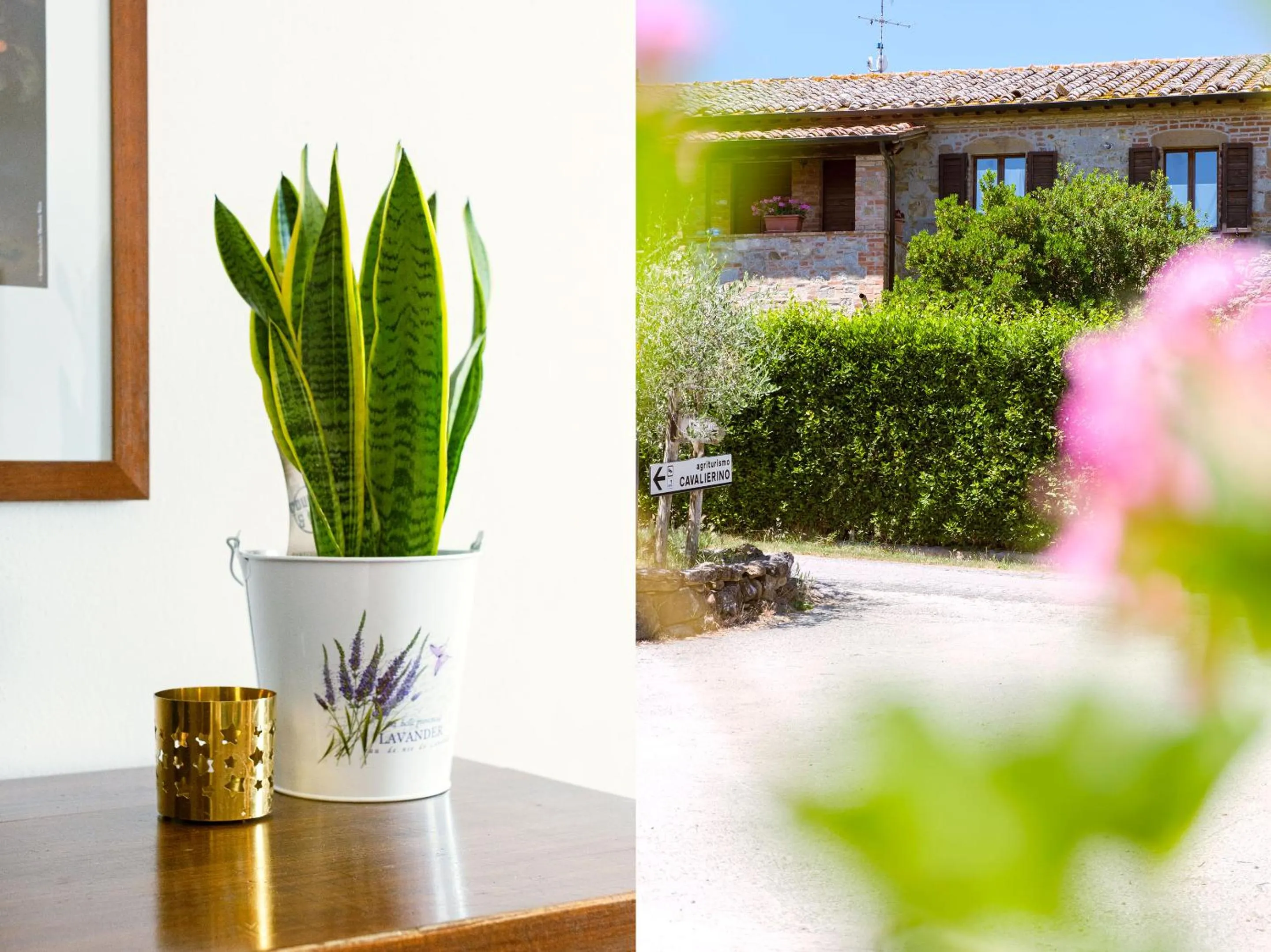 Property building in Agriturismo Cavalierino