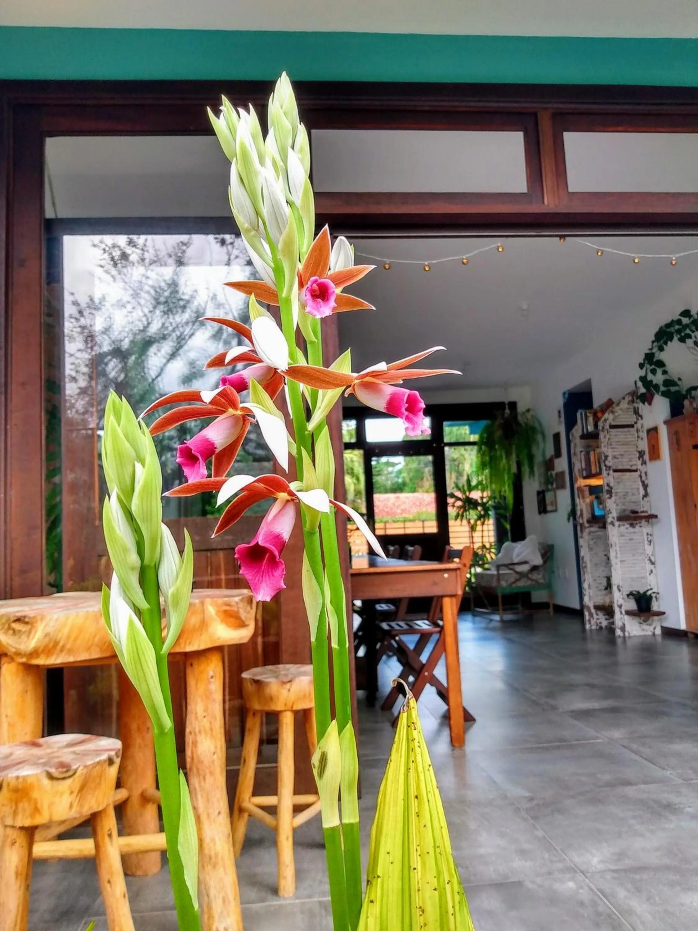 Garden in Pousada Vila Guyrá