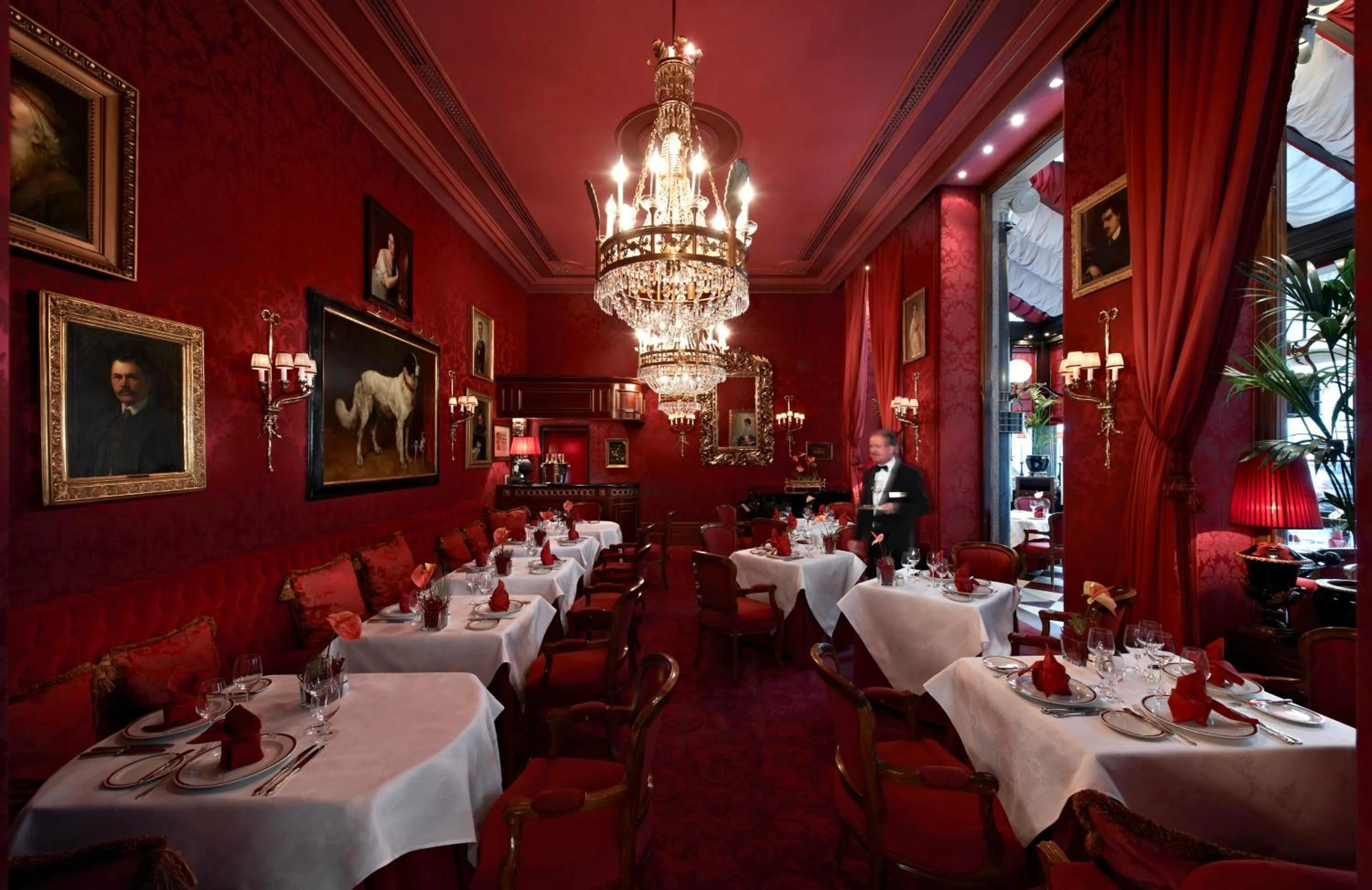 Restaurant/places to eat in Hotel Sacher Wien