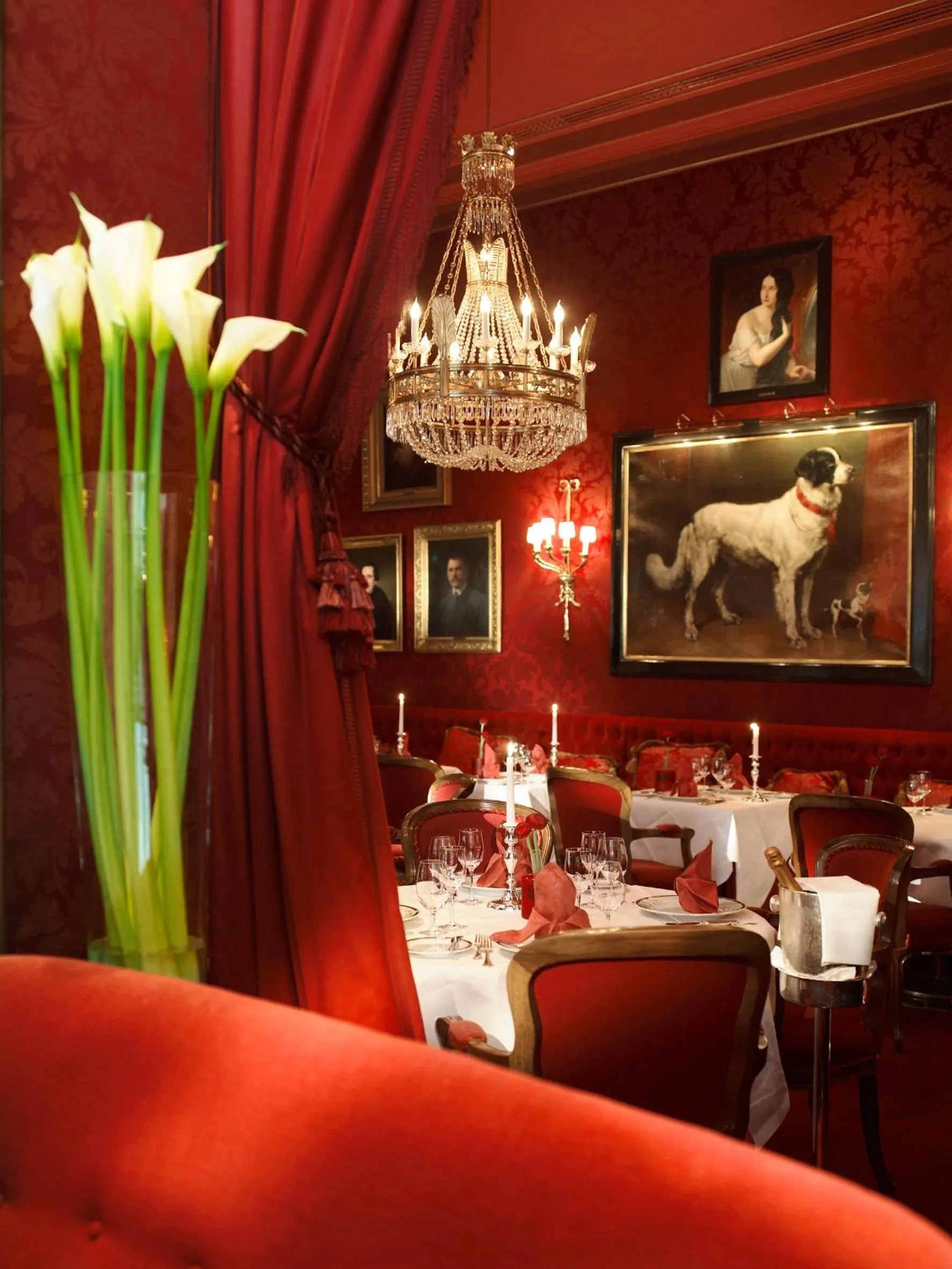Restaurant/places to eat in Hotel Sacher Wien