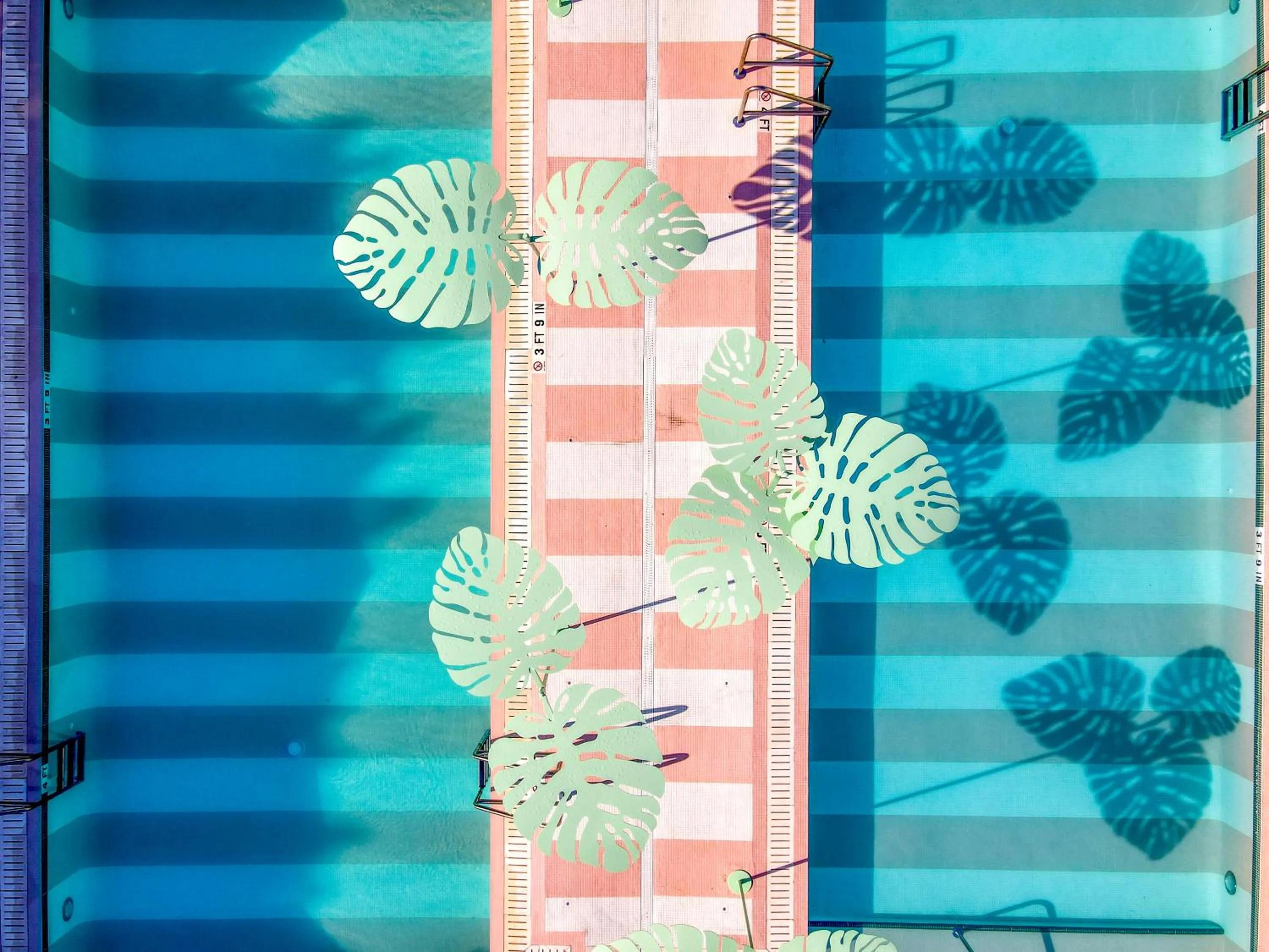 Swimming pool in The Goodtime Hotel, Miami Beach a Tribute Portfolio Hotel