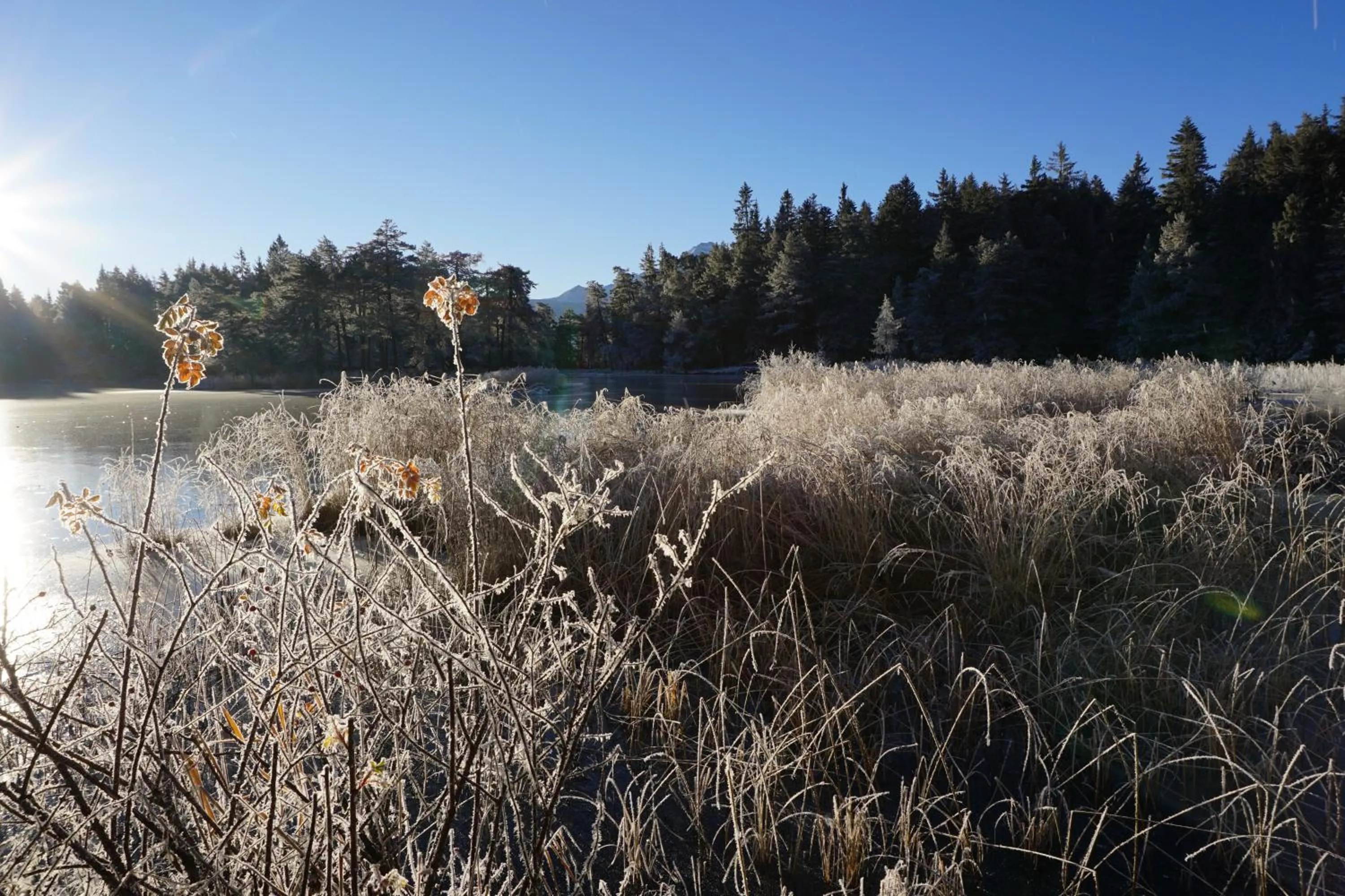 Winter in Hotel Pension Tyrol