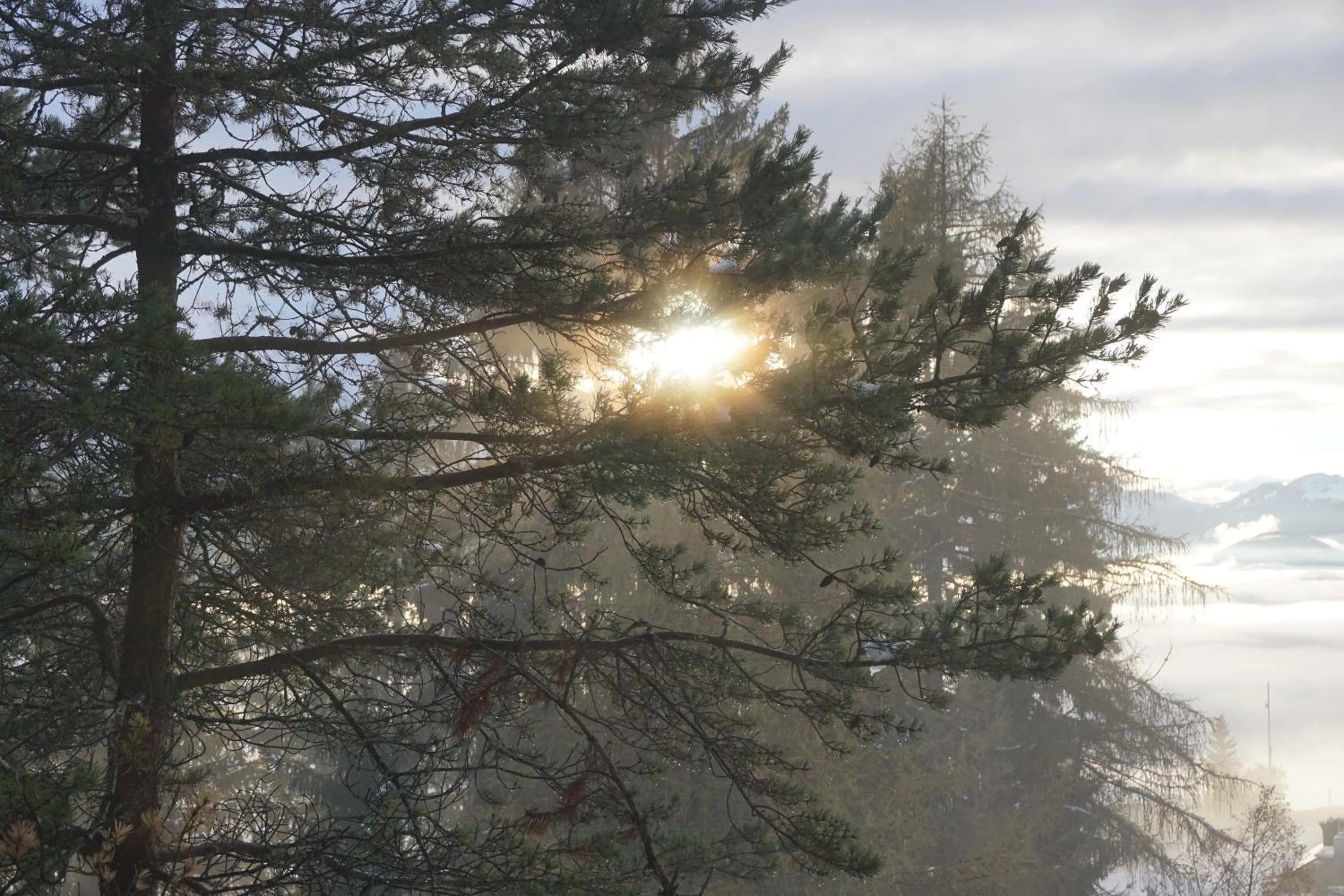Hiking in Hotel Pension Tyrol