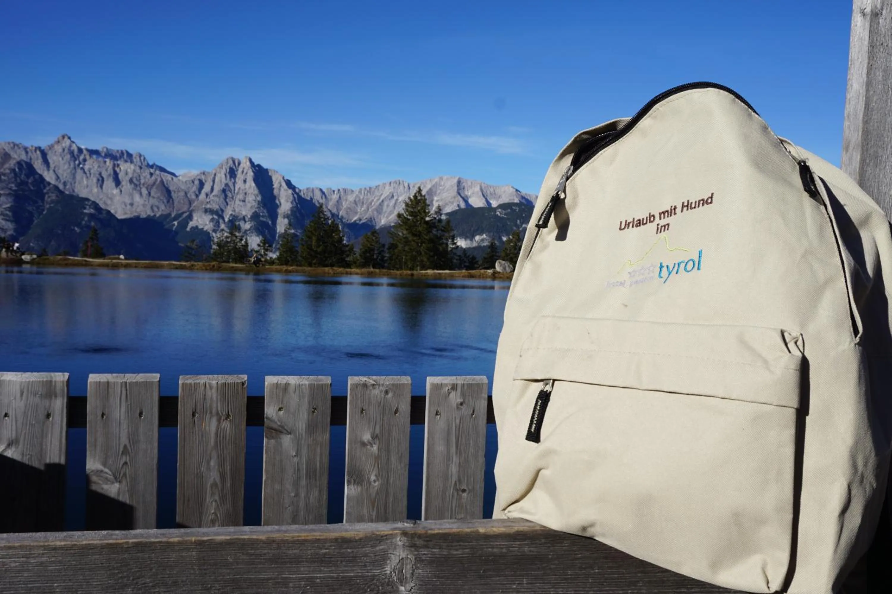 Hiking in Hotel Pension Tyrol