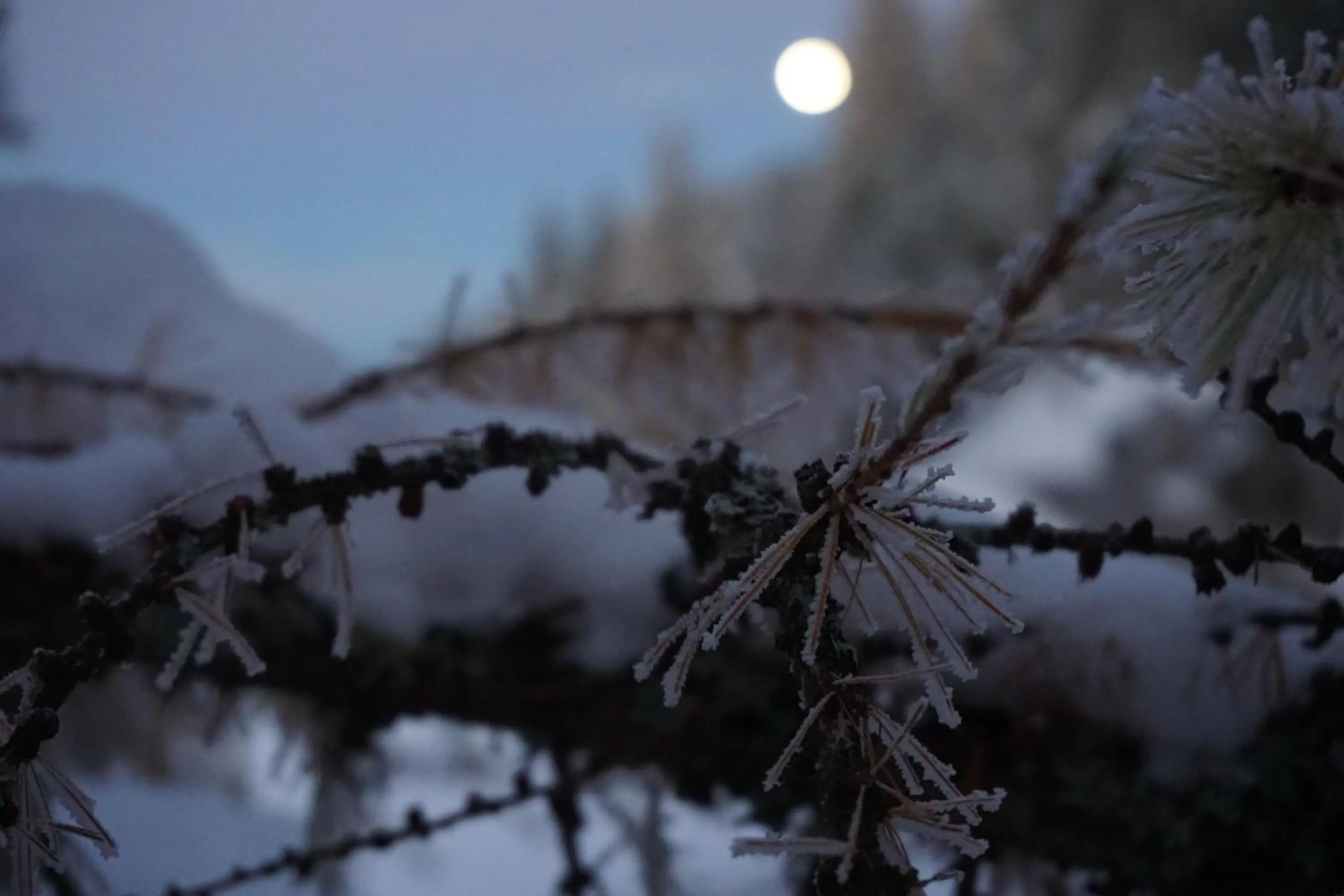 Other in Hotel Pension Tyrol