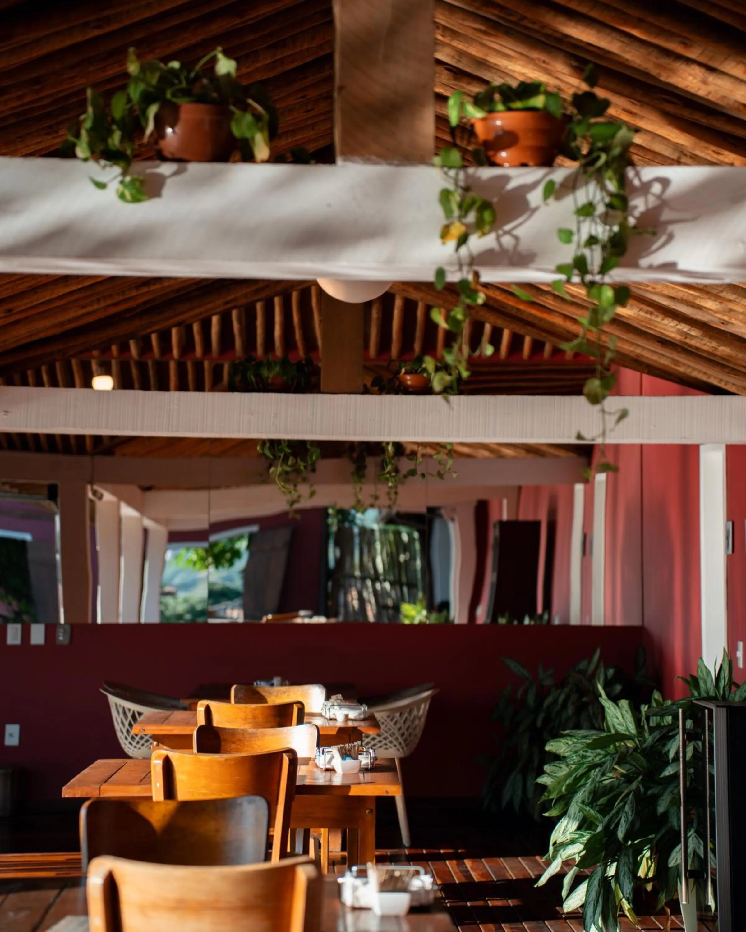 Restaurant/places to eat in Jubarte Hotel by Insólito