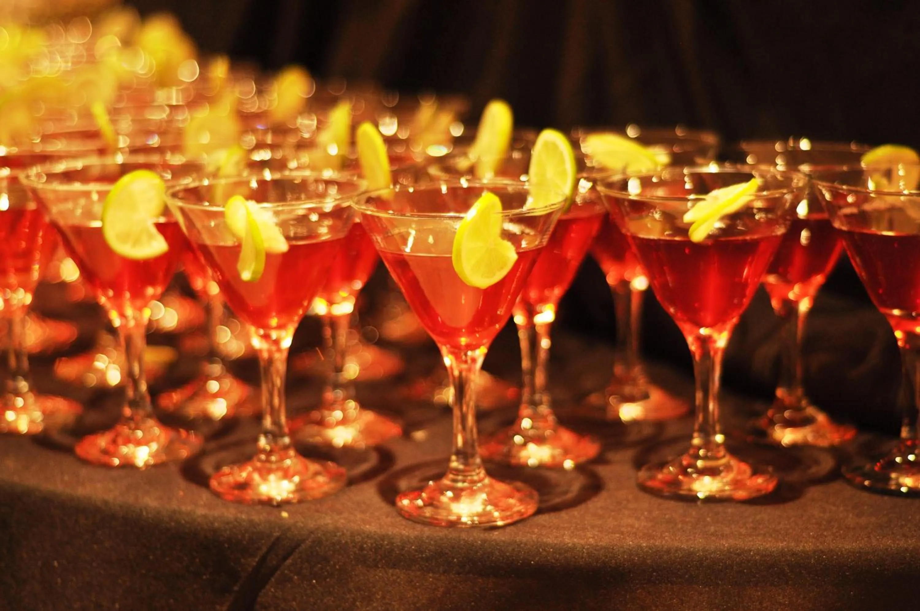 Business facilities in Premier Hotel Midrand