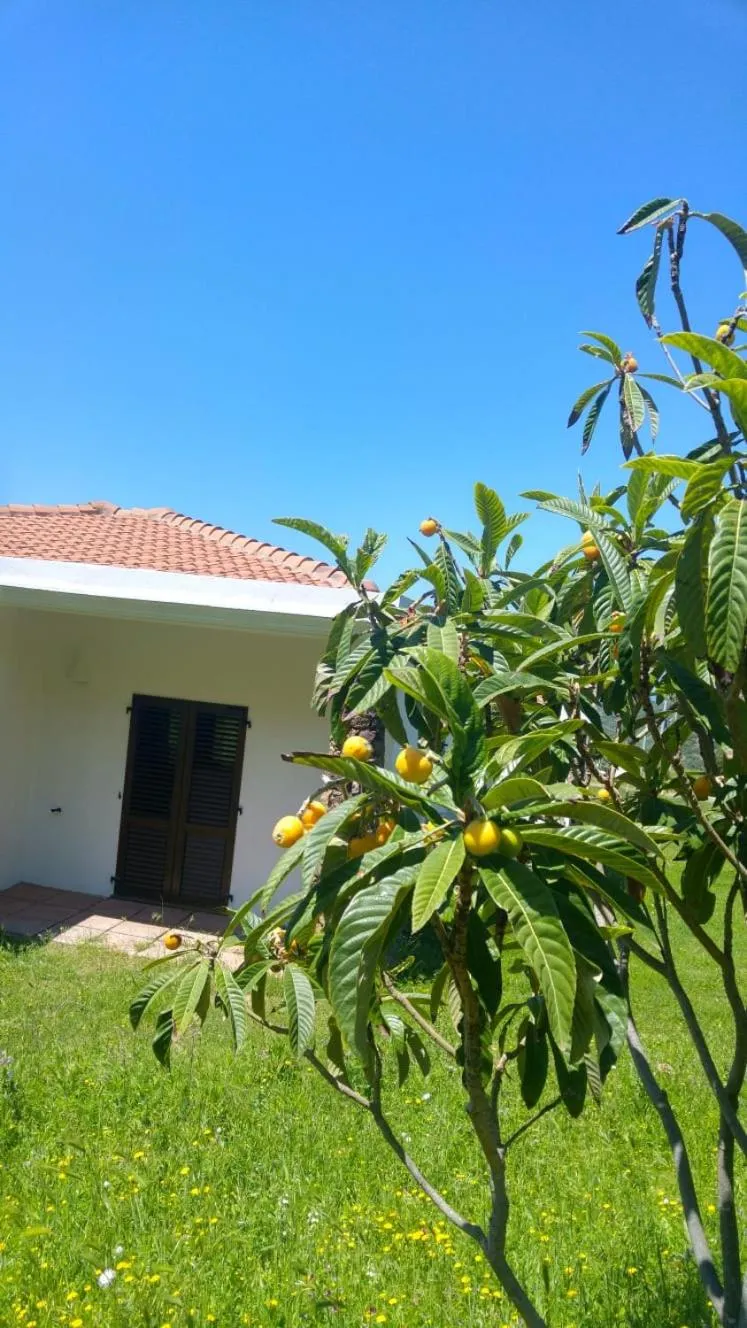 Property building in La Fattoria