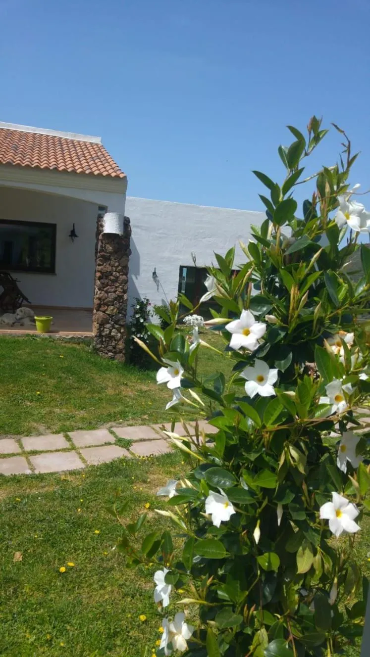 Garden view in La Fattoria