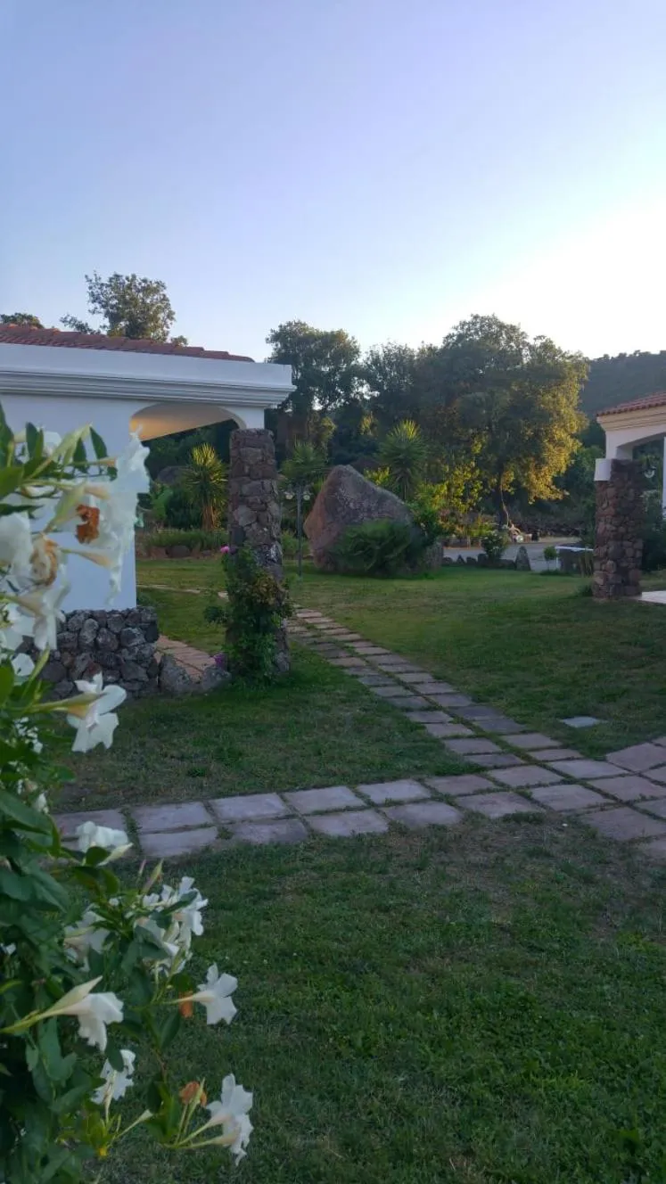 Swimming pool in La Fattoria
