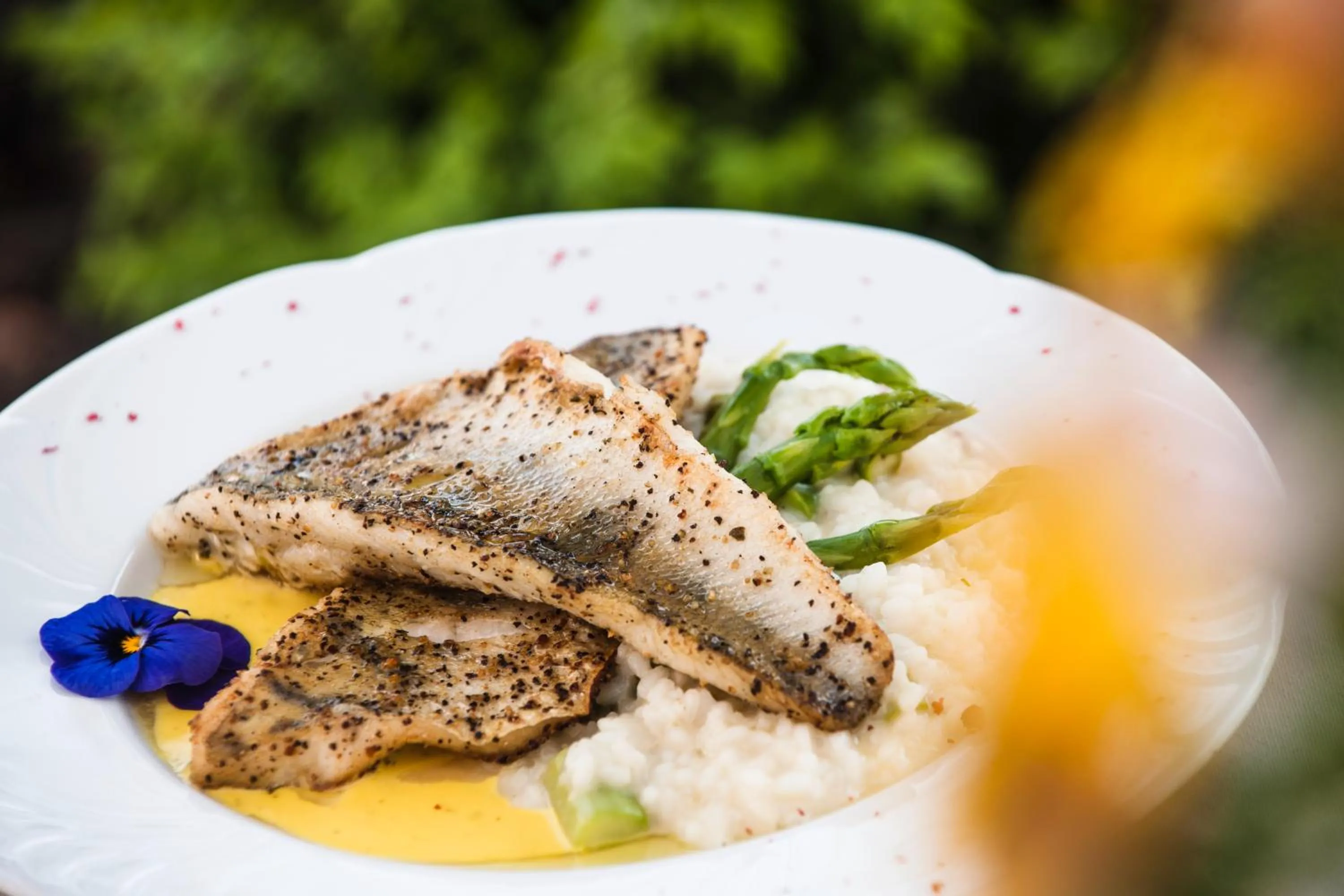 Food close-up in Hotel Zur Post